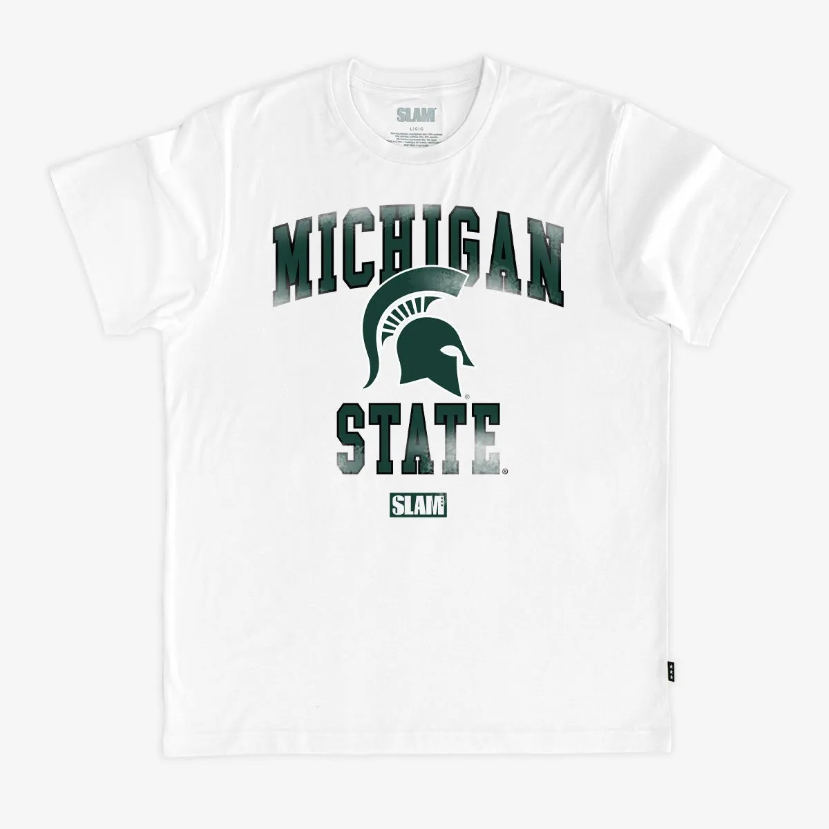 Michigan State Campus Heritage Tee sold by SLAM Goods