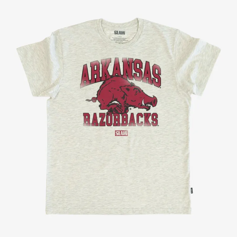 Arkansas Campus Heritage Tee sold by SLAM Goods