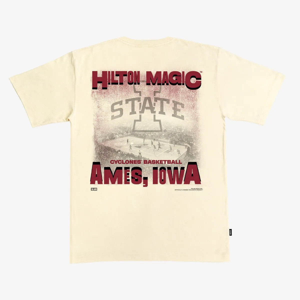 Iowa State Arena Heavy Tee sold by SLAM Goods product image thumbnail 3
