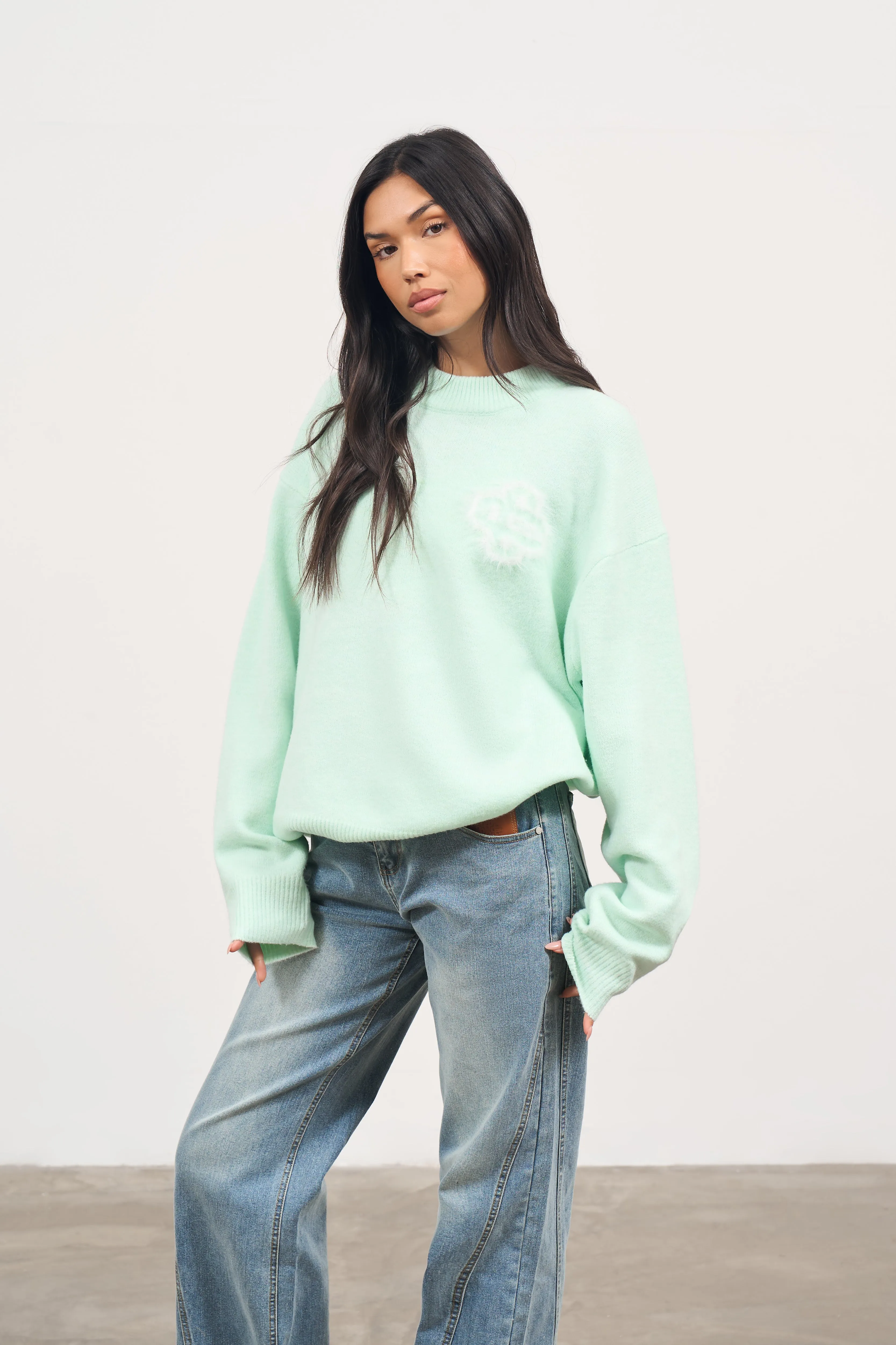 FLUFFY EMBLEM KNITTED CREW - MINT sold by The Couture Club product image thumbnail 3