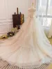 Vivienne | Champagne Tulle Lace Wedding Dress With Sweep Train sold by KissProm