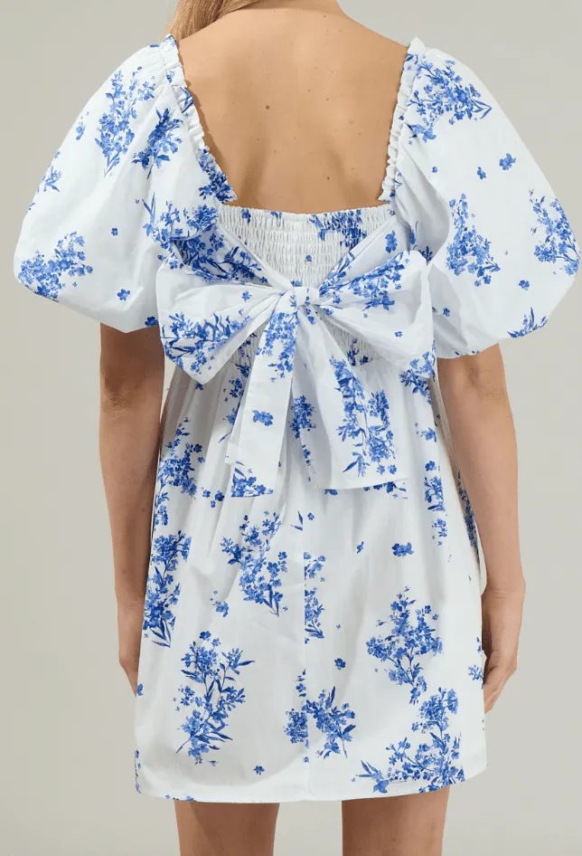 Around the Garden Mini Dress - White and Blue sold by Hazel & Olive product image thumbnail 3