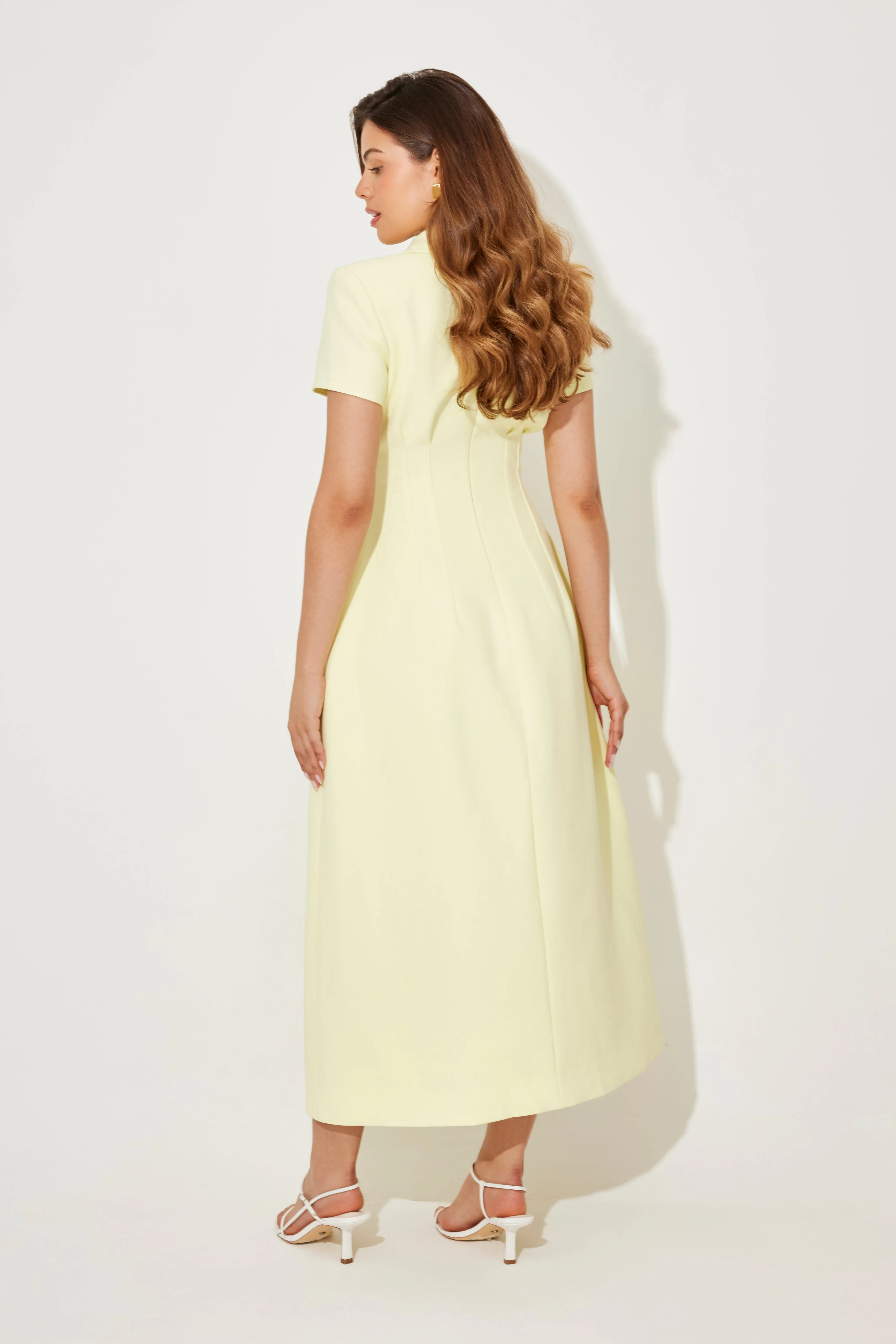 Collared Midi Dress sold by Odd Muse product image thumbnail 4