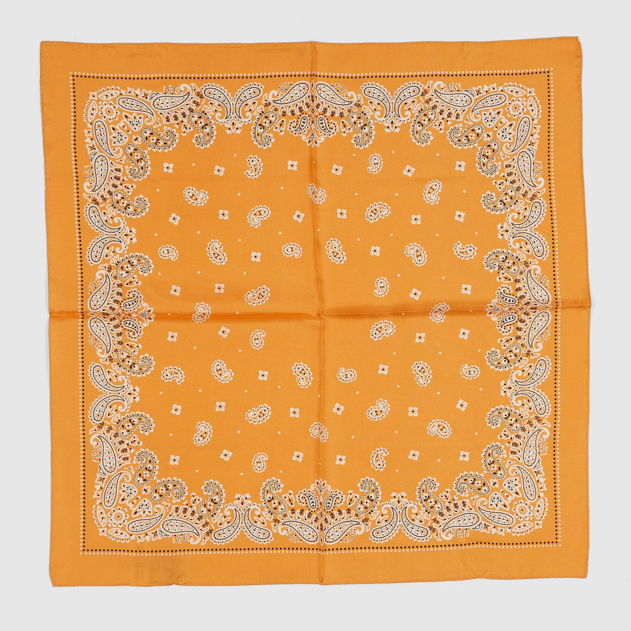 Anonymous ISM Silk Paisley Bandana sold by DeeCee style