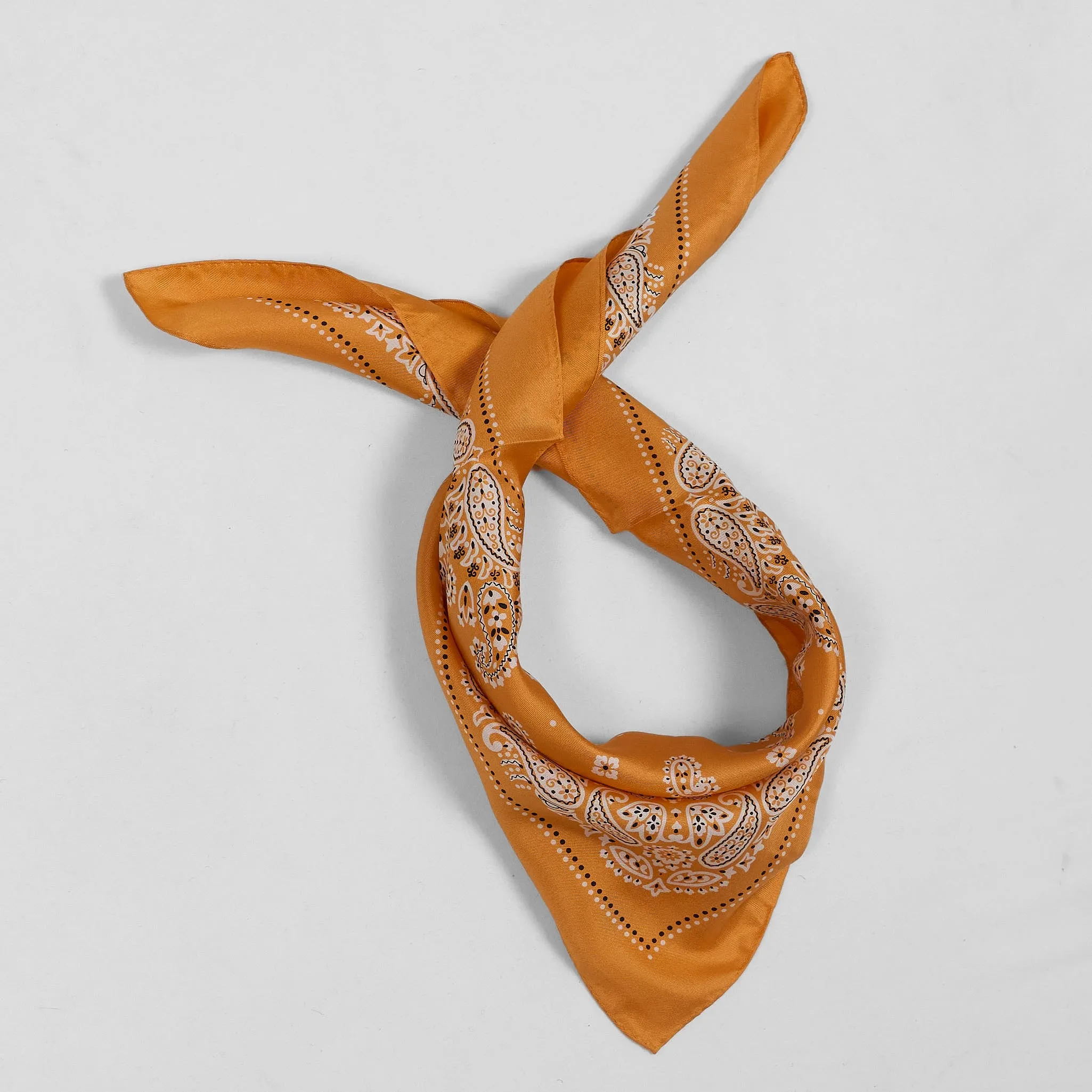 Anonymous ISM Silk Paisley Bandana sold by DeeCee style product image thumbnail 2