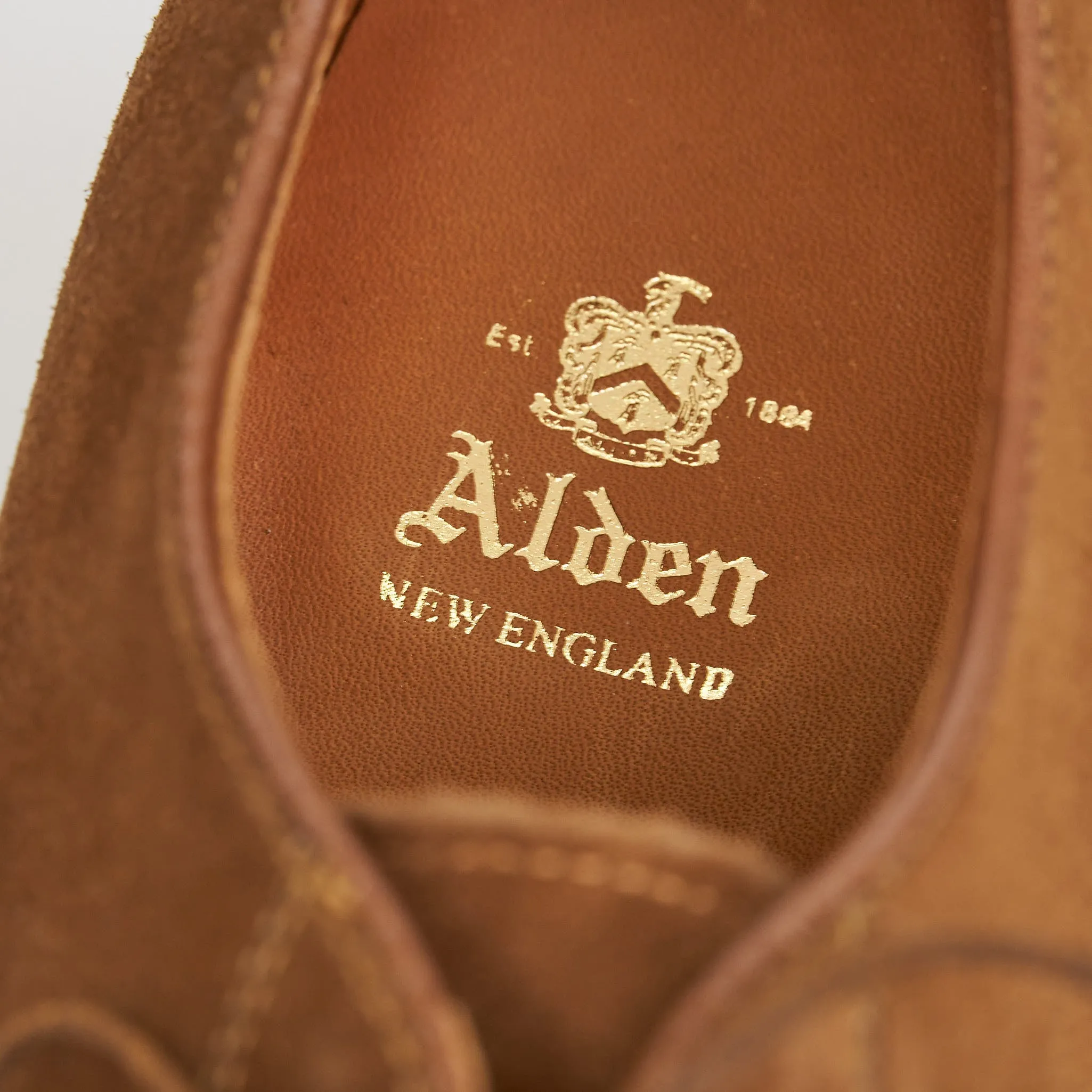 Alden Moc-Toe Blucher Roughout sold by DeeCee style product image thumbnail 4