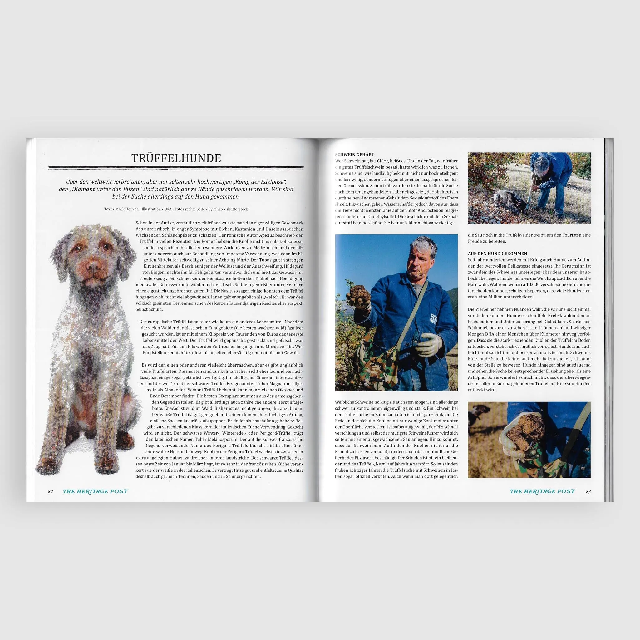 The Heritage Post No. 37 sold by DeeCee style product image thumbnail 2