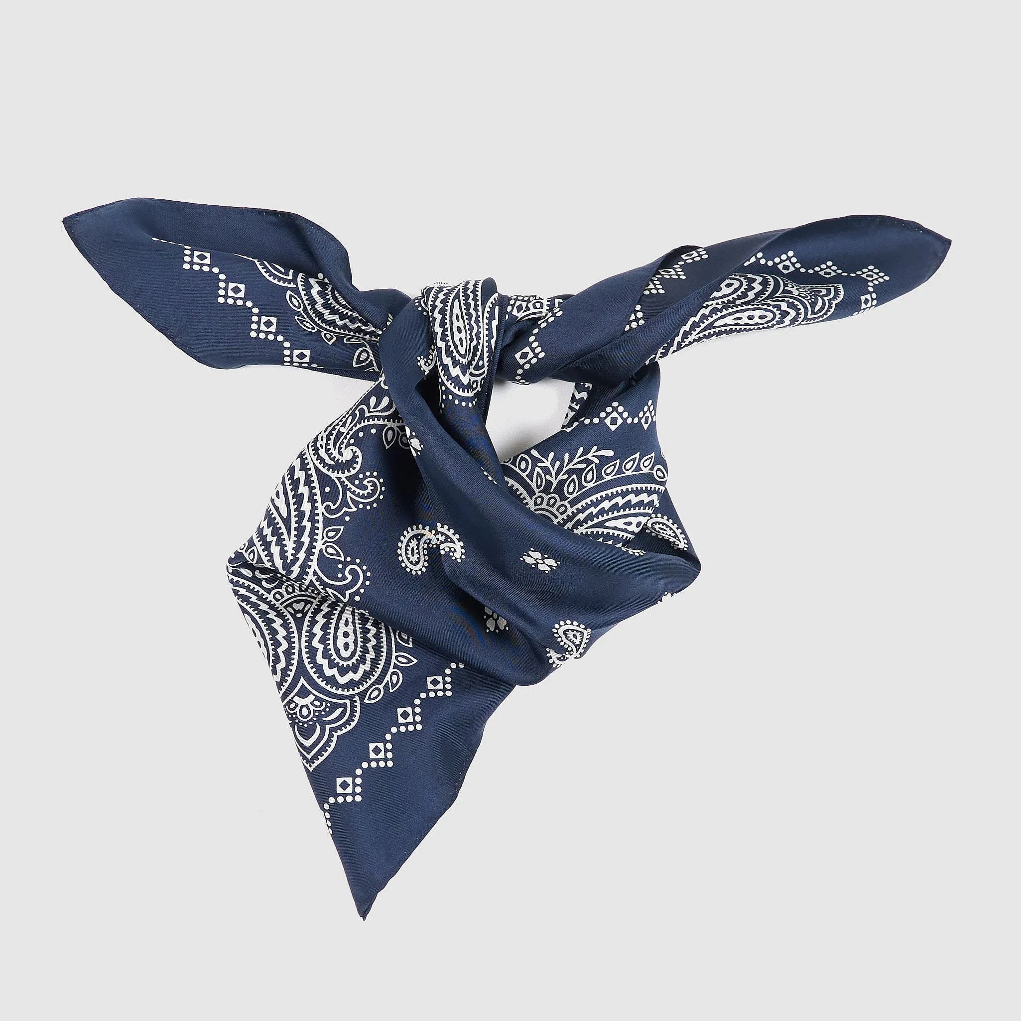 Anonymous Selvage Paisley Silk Bandana sold by DeeCee style product image thumbnail 2