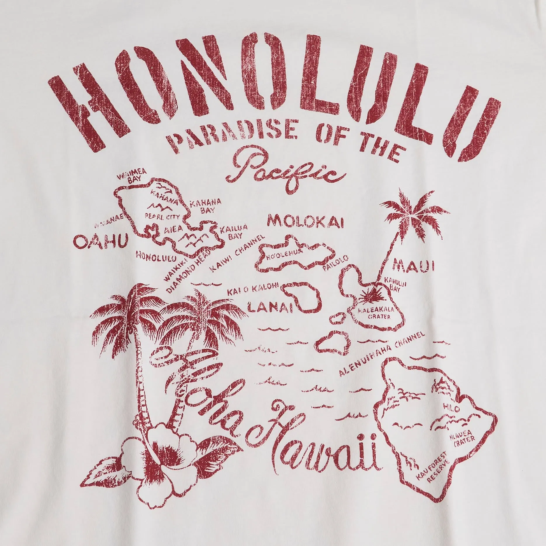 Bowery NYC Honolulu T-Shirt sold by DeeCee style product image thumbnail 3