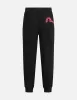 Totem Seagull Embroidery Straight Fit Sweatpants sold by Evisu