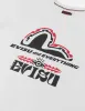 Totem Seagull and Logo Print Regular Fit T-shirt sold by Evisu
