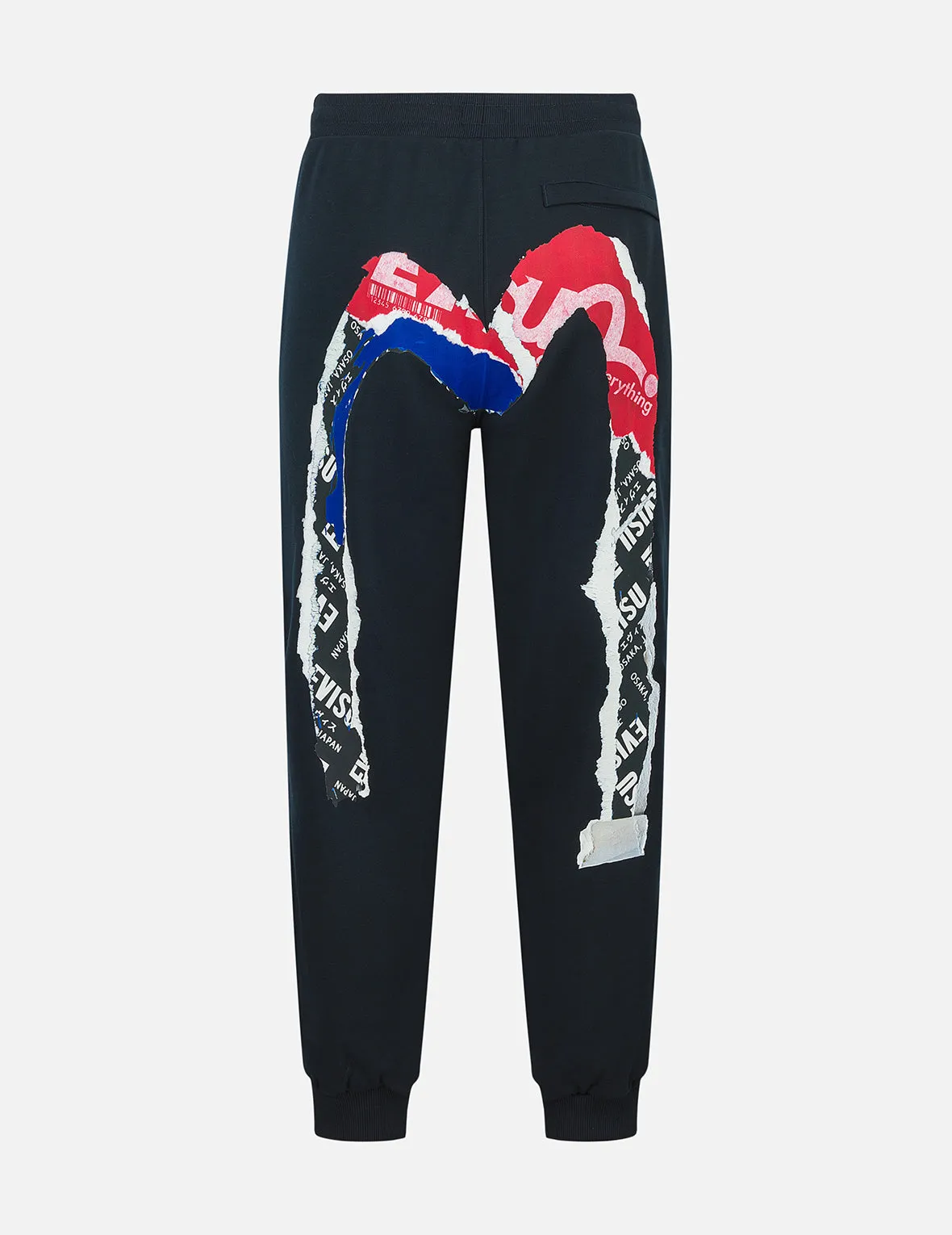 Poster Daicock Print Fashion Fit Sweatpants sold by Evisu
