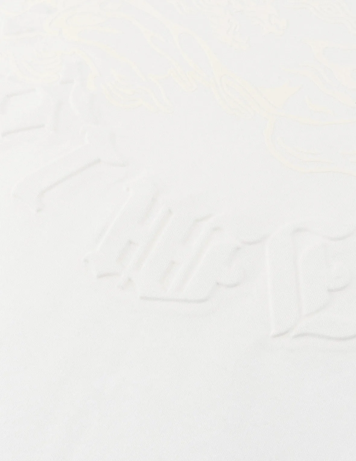 Hakutaku Print and Seagull Emboss Print Loose Fit T-shirt sold by Evisu product image thumbnail 5