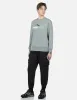 Transparent Seagull Badge Logo Print Sweatshirt sold by Evisu