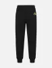 Kamon and Evisu Foil Print Straight Fit Sweatpants sold by Evisu