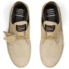 Clarks | Desert Boot x thisisneverthat 'Maple Suede' sold by Hatchet Outdoor Supply Co