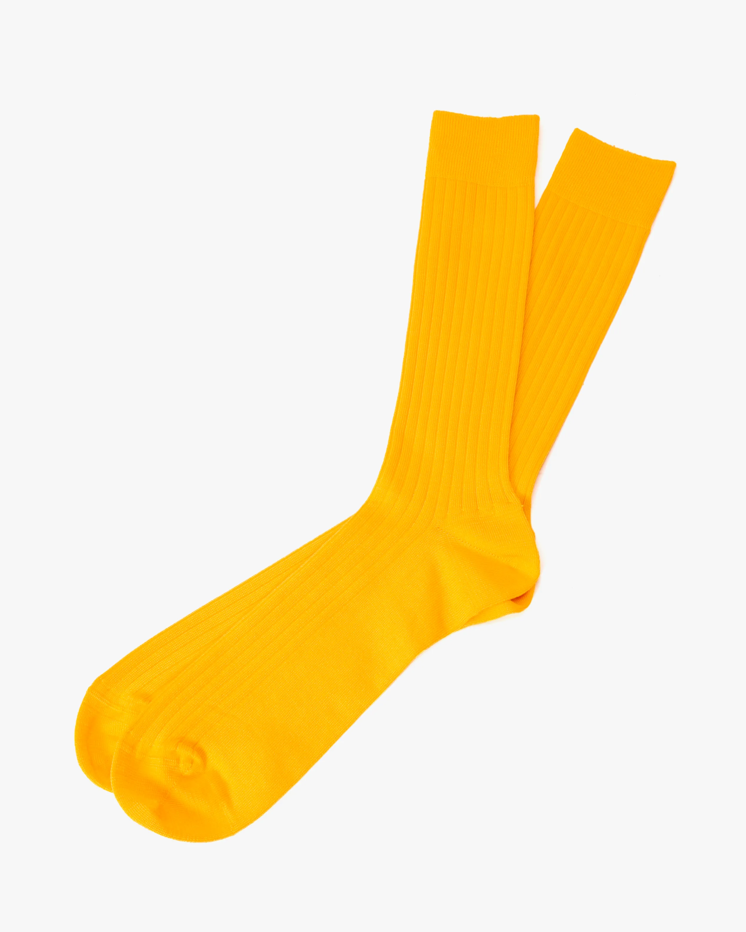 Knitwin, Crew Socks, Egyptian Cotton Ribbed, Praha Susuki Gold sold by Kiriko