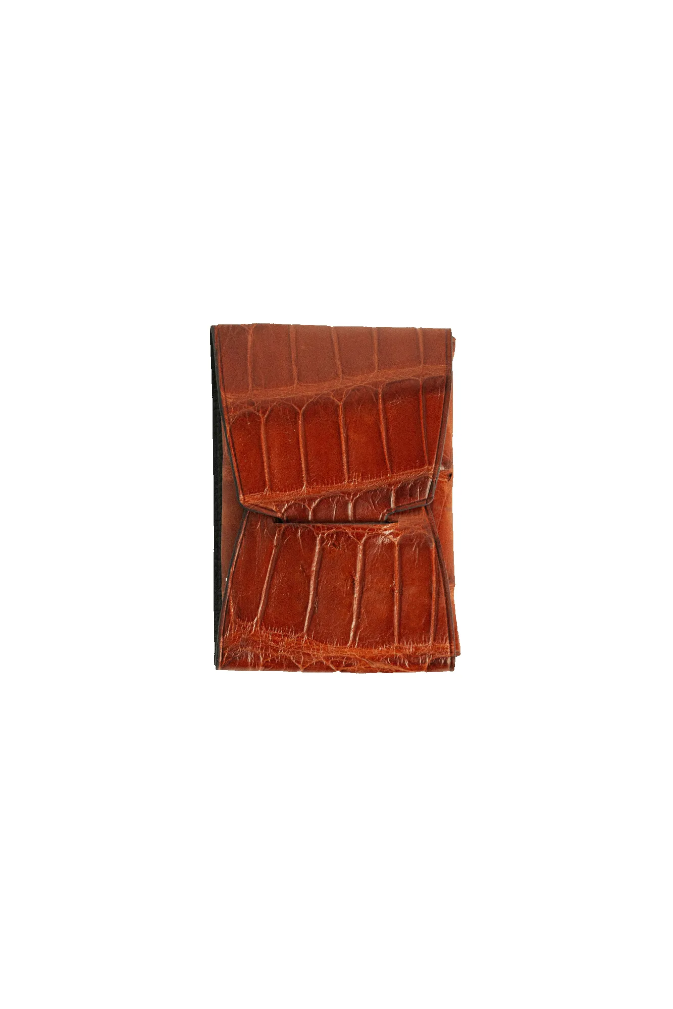 Johnny Slim - Peanut American Alligator sold by Loyal Stricklin