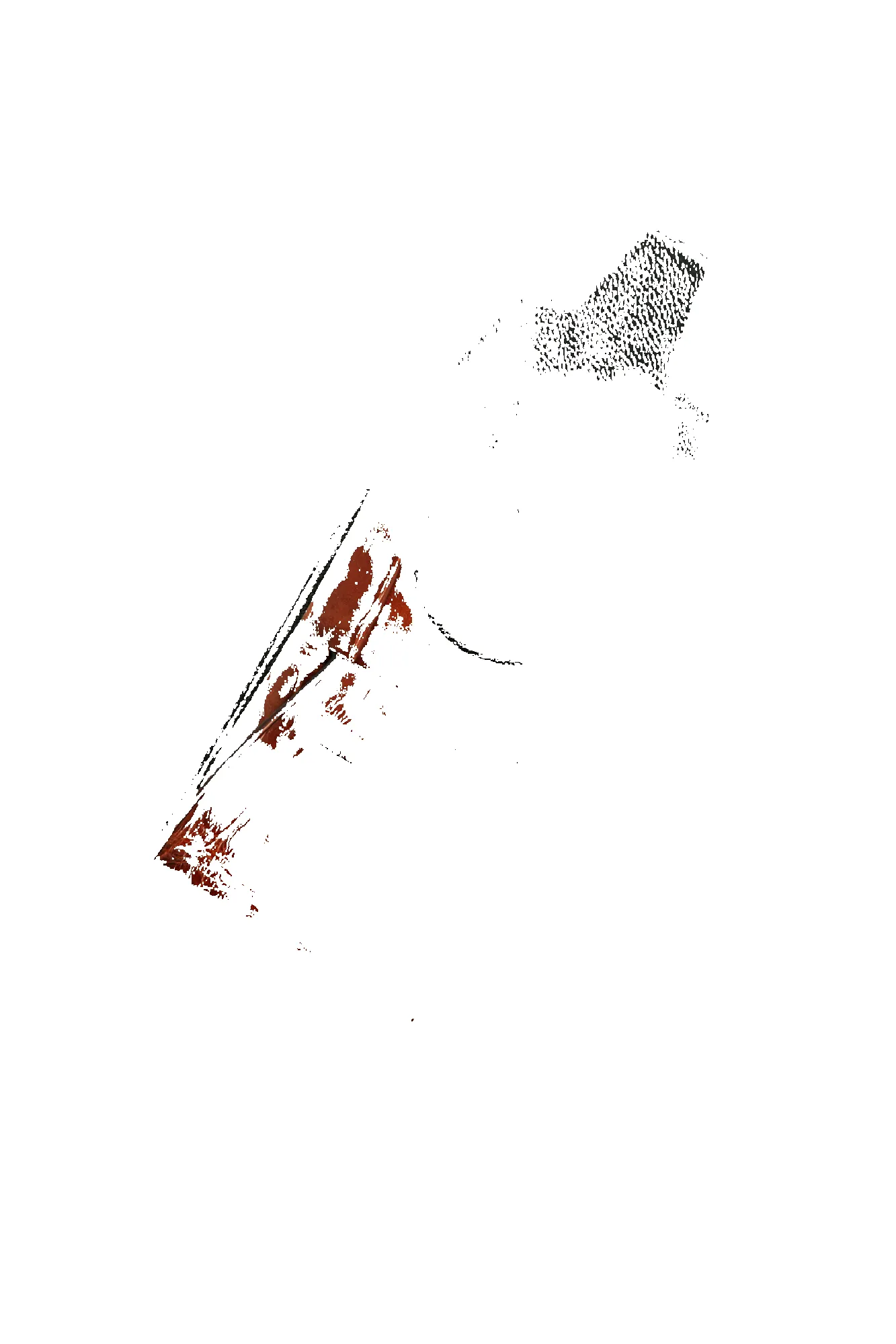 Johnny Slim - Peanut American Alligator sold by Loyal Stricklin product image thumbnail 2