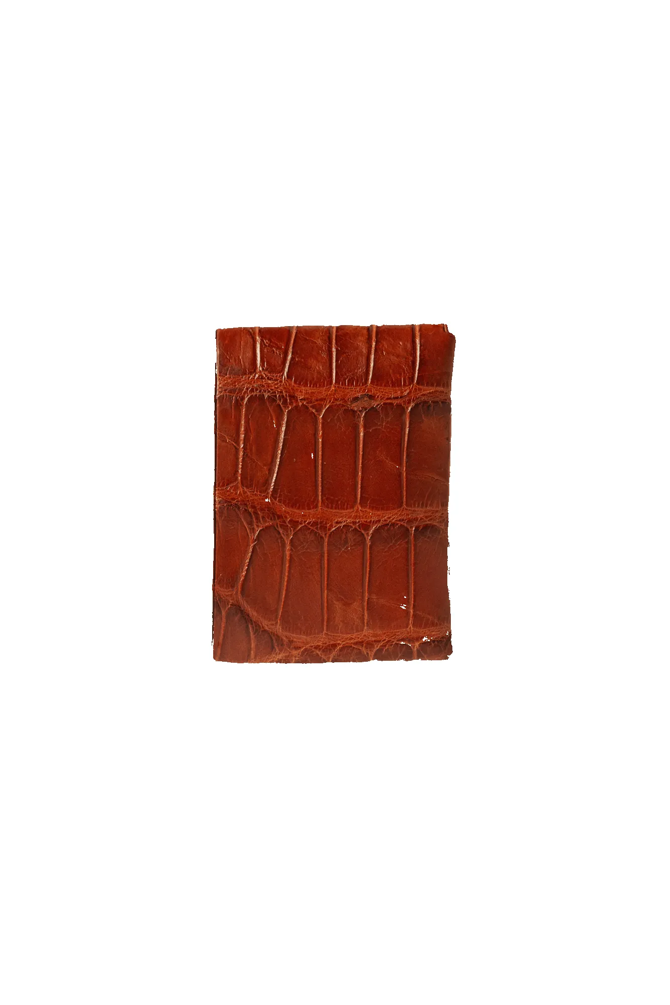 Johnny Slim - Peanut American Alligator sold by Loyal Stricklin product image thumbnail 3