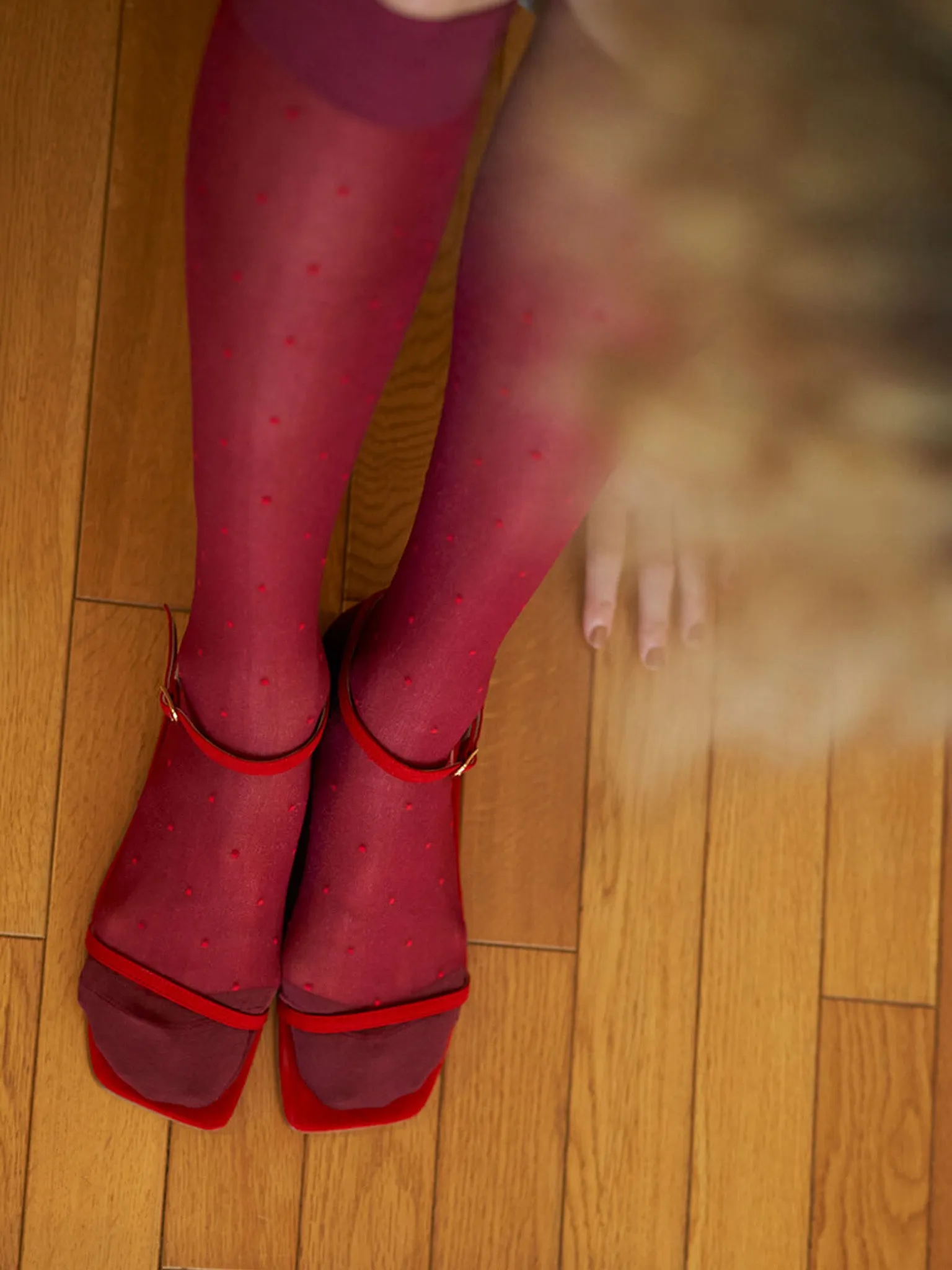 Pin Dot Stocking - Black, Burgundy sold by Namu Shop product image thumbnail 4