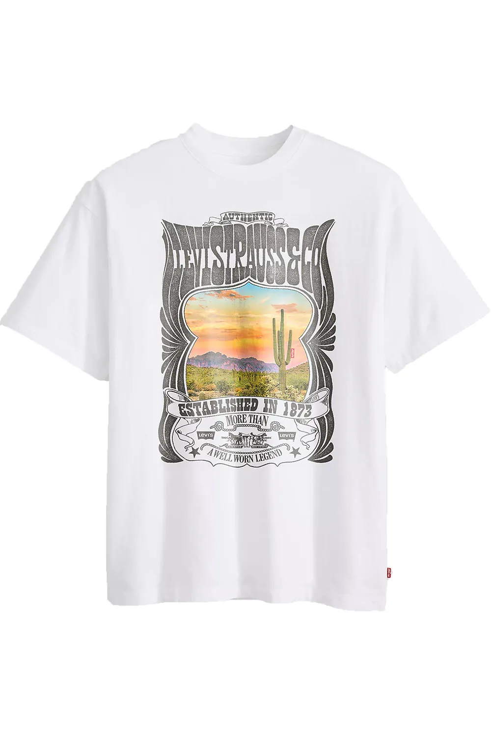 VINTAGE FIT GRAPHIC TEE Levis Canyon sold by REVOLVR Menswear