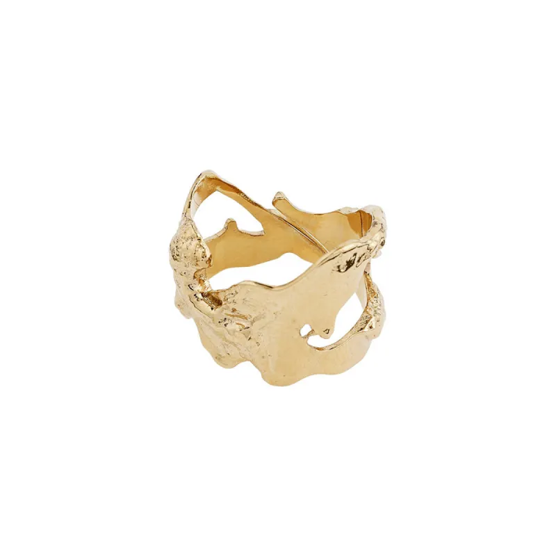 Compass Gold Plated Ring sold by Silver Lotus