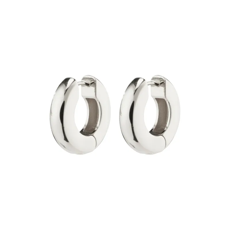 Learn Silver Plated Hoops sold by Silver Lotus
