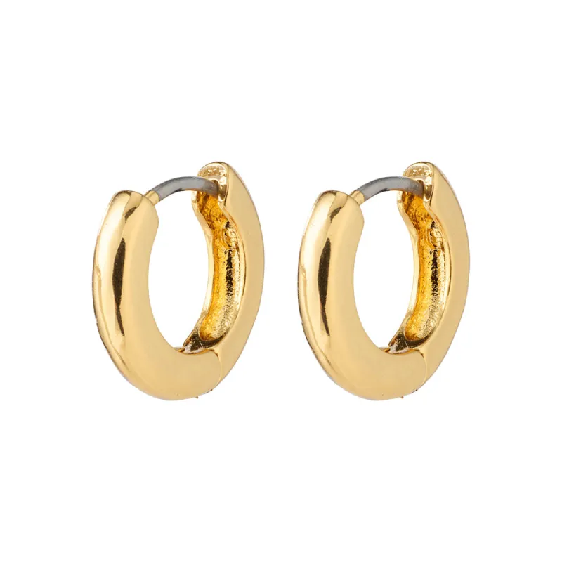 Francis Gold Plated Hoops sold by Silver Lotus