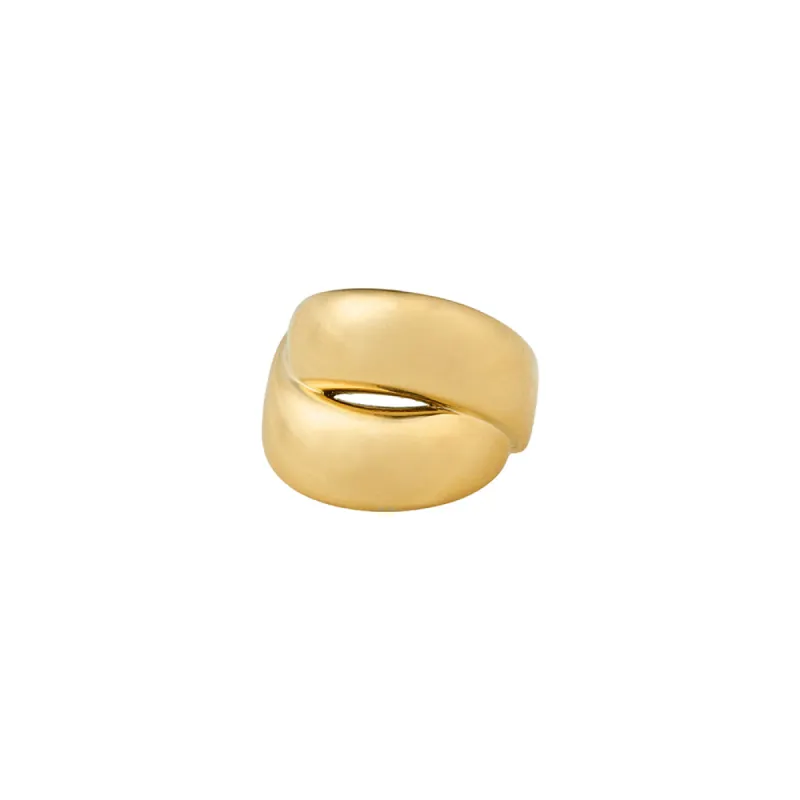 Raven Gold Plated Ring sold by Silver Lotus