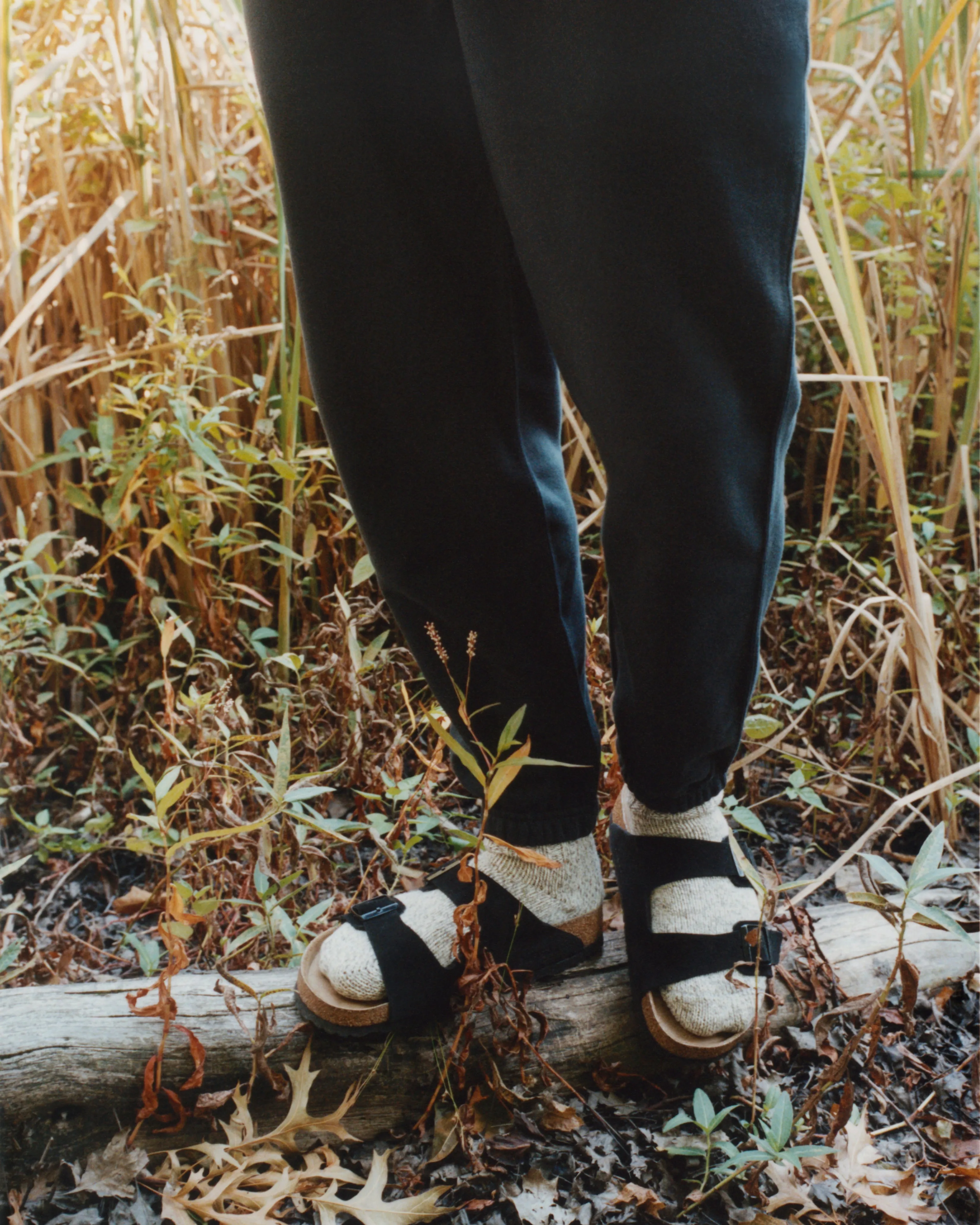 CASTOR SWEATPANT - Shale Black sold by Body of Work product image thumbnail 3