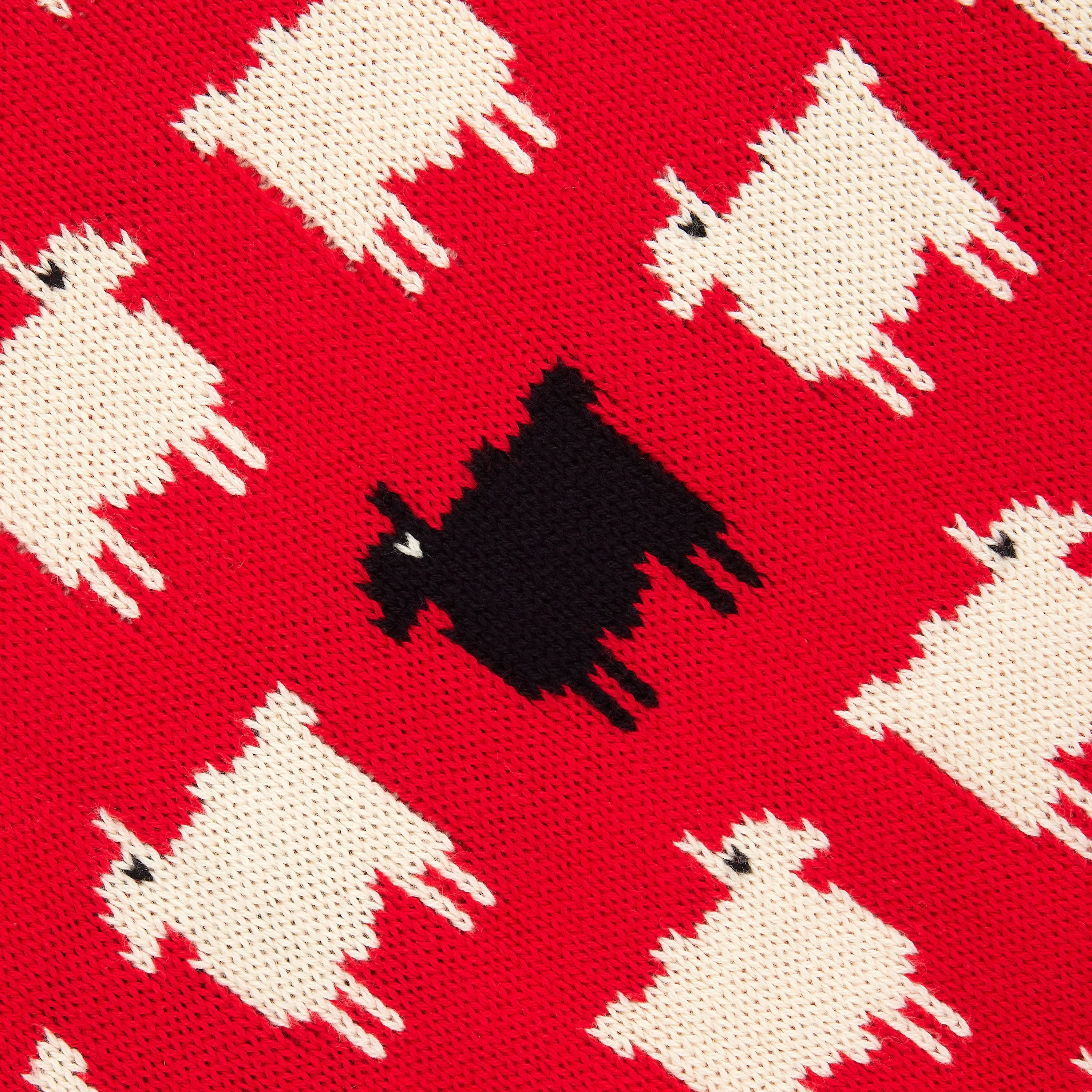 Warm & Wonderful Women's Fitted "Diana Edition" Cotton Sheep Sweater sold by Rowing Blazers product image thumbnail 3