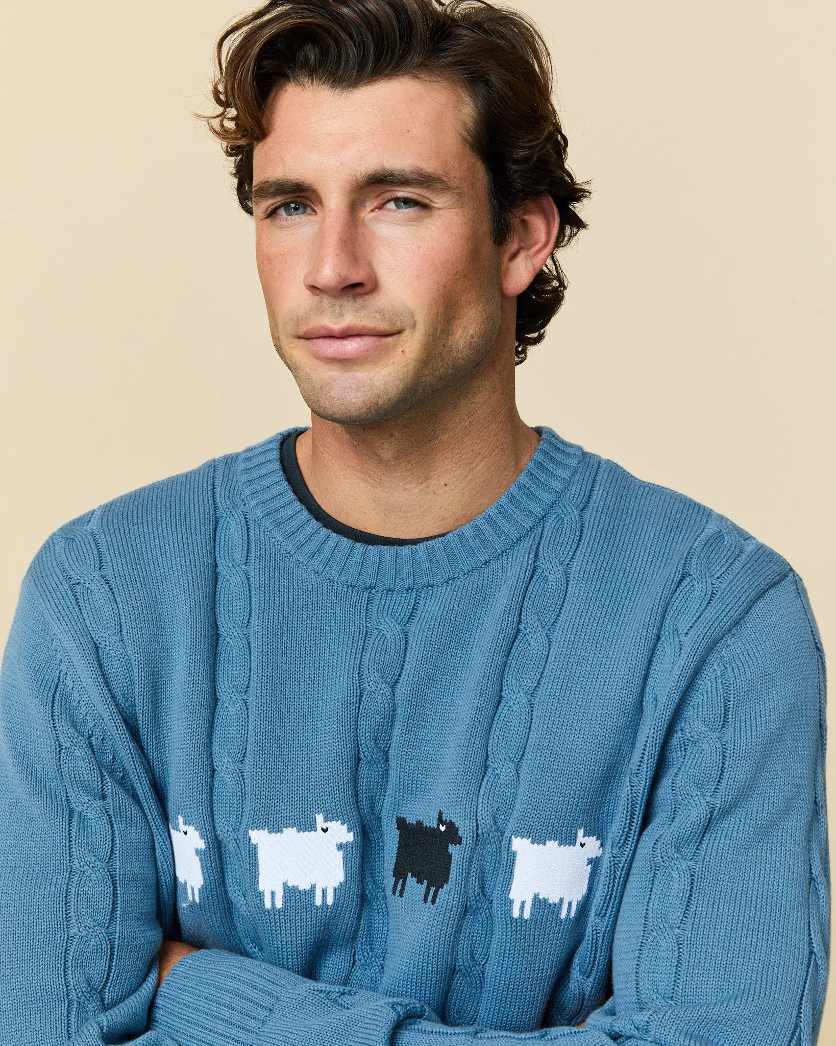 Men's Cotton Cable Sheep Sweater Blue sold by Rowing Blazers product image thumbnail 3