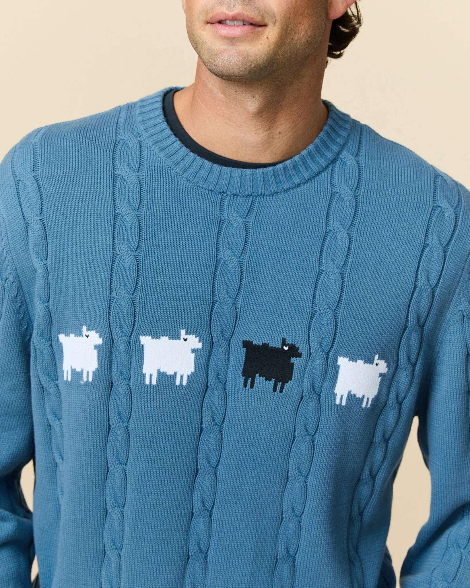 Men's Cotton Cable Sheep Sweater Blue sold by Rowing Blazers product image thumbnail 4