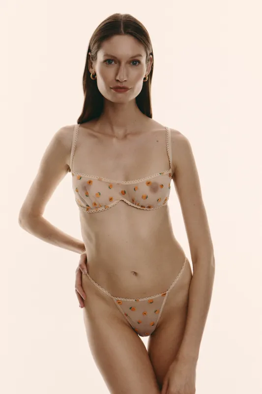 PÊCHE Briefs sold by Le Petit Trou