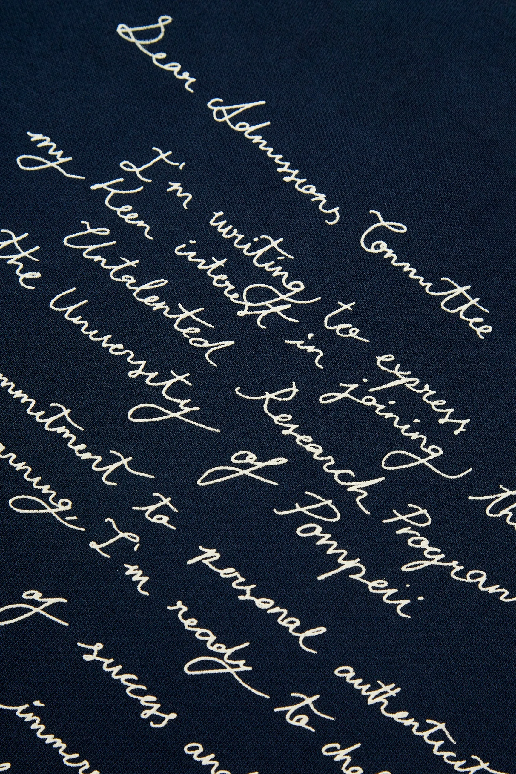 ADMISSION LETTER NAVY HOODIE sold by Pompeii product image thumbnail 3