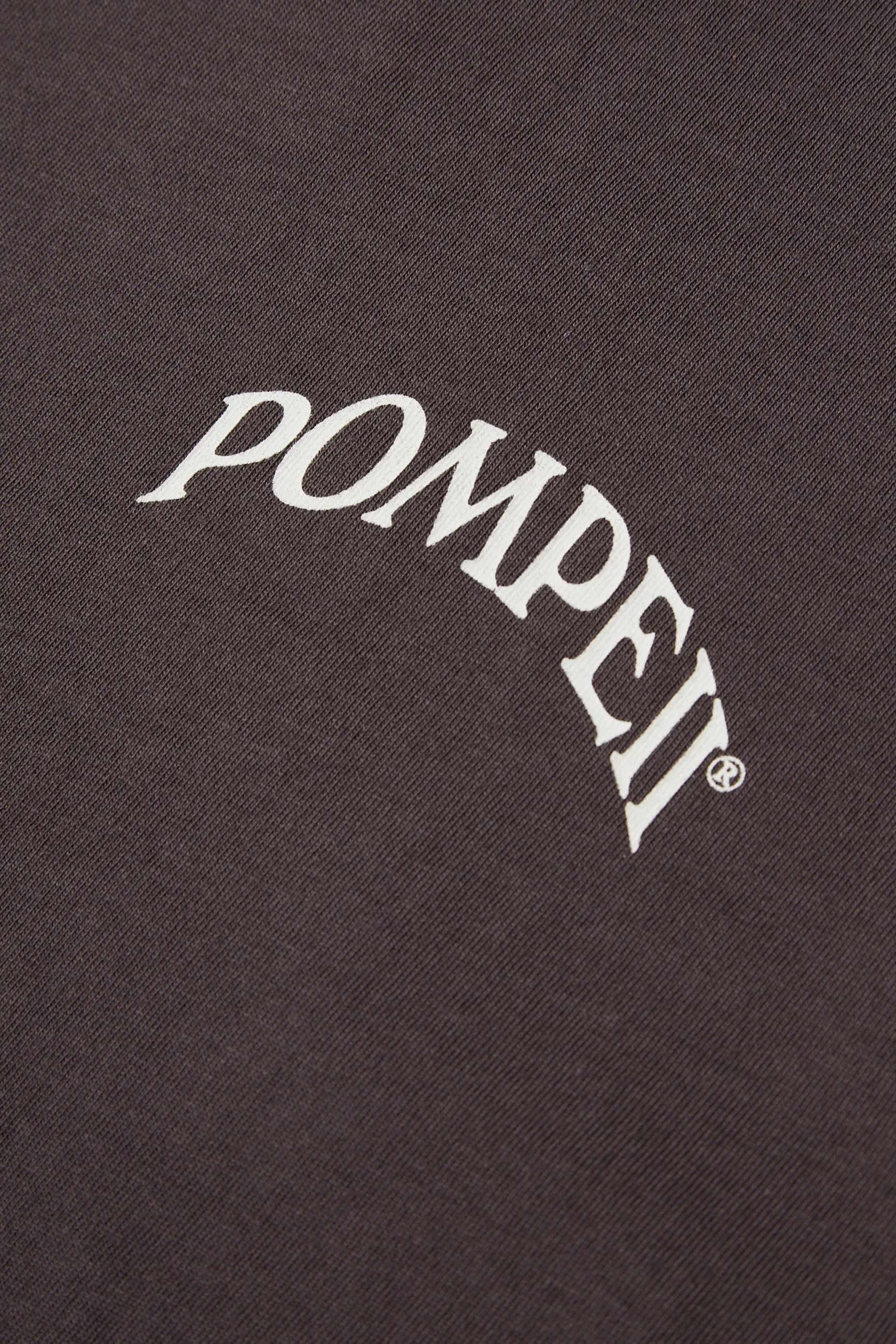 BEST BUDDIES CHARCOAL GREY TEE sold by Pompeii product image thumbnail 4