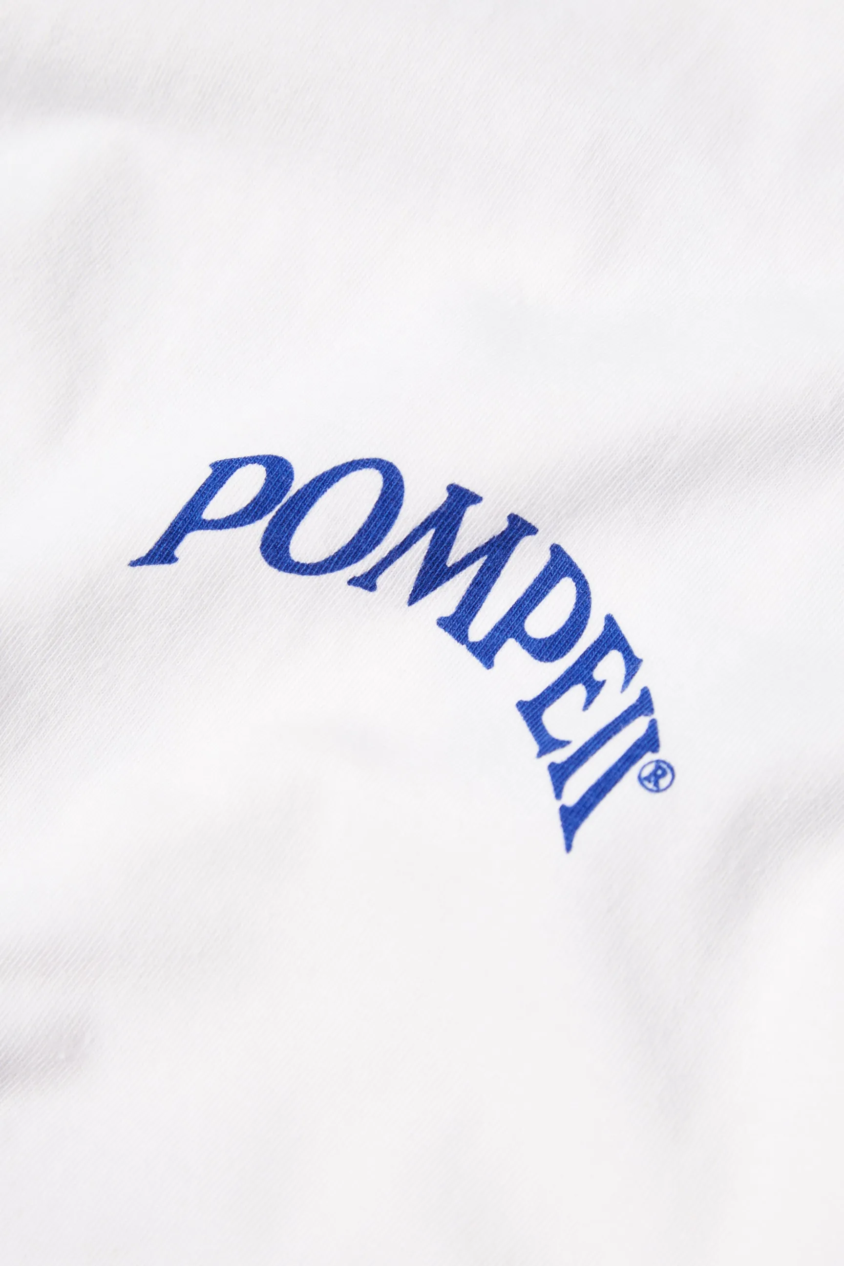 BEST BUDDIES WHITE TEE sold by Pompeii product image thumbnail 4