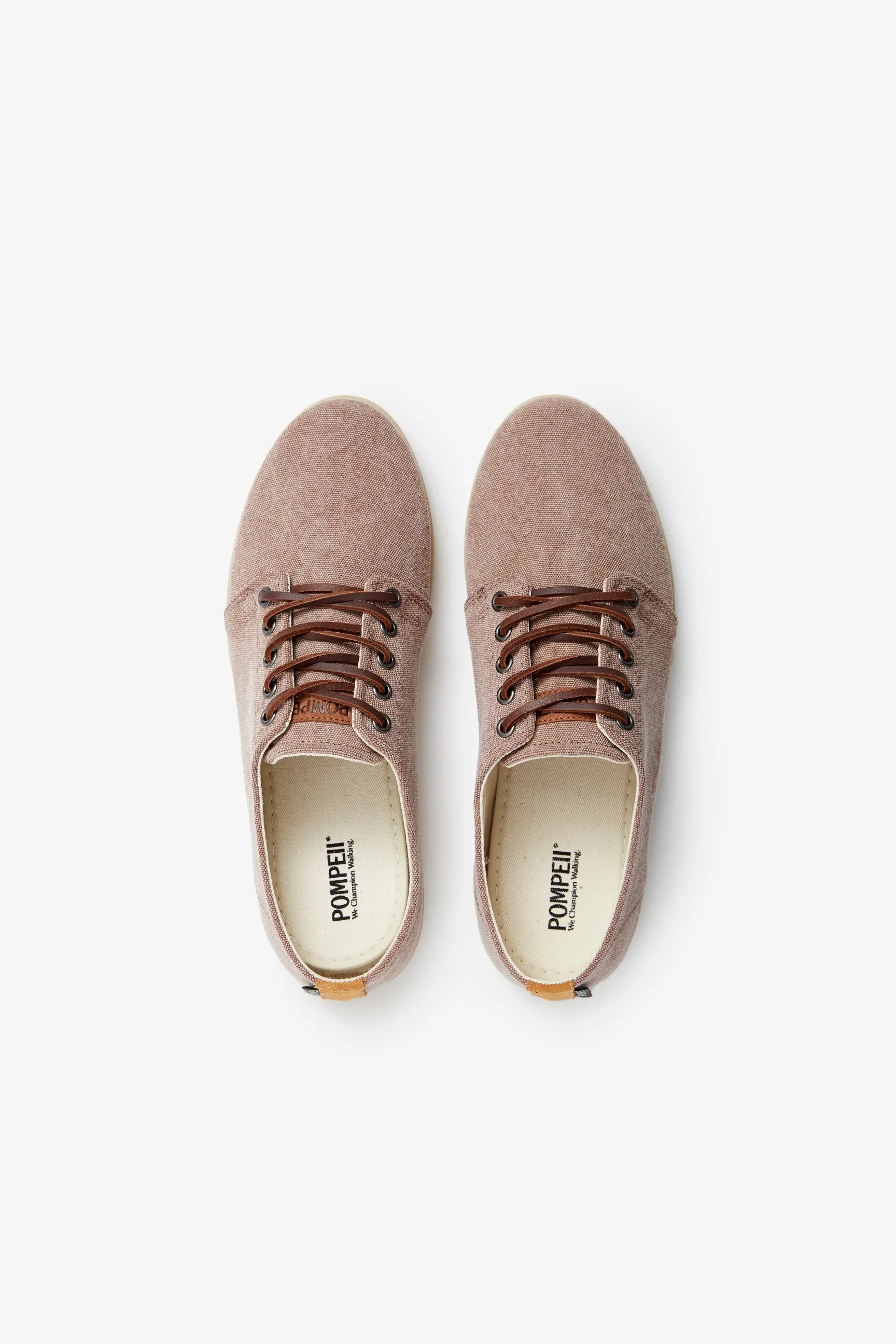 HIGBY CANVAS COCOA sold by Pompeii product image thumbnail 4