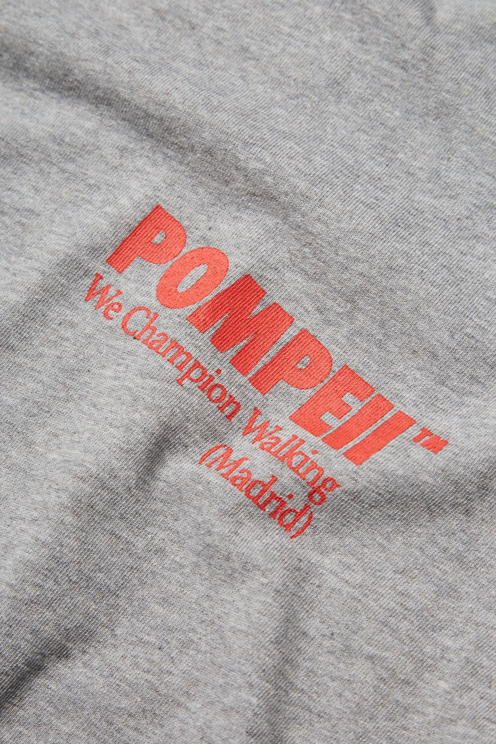 POMPEII CLASSIC GREY BOXY TEE sold by Pompeii product image thumbnail 4