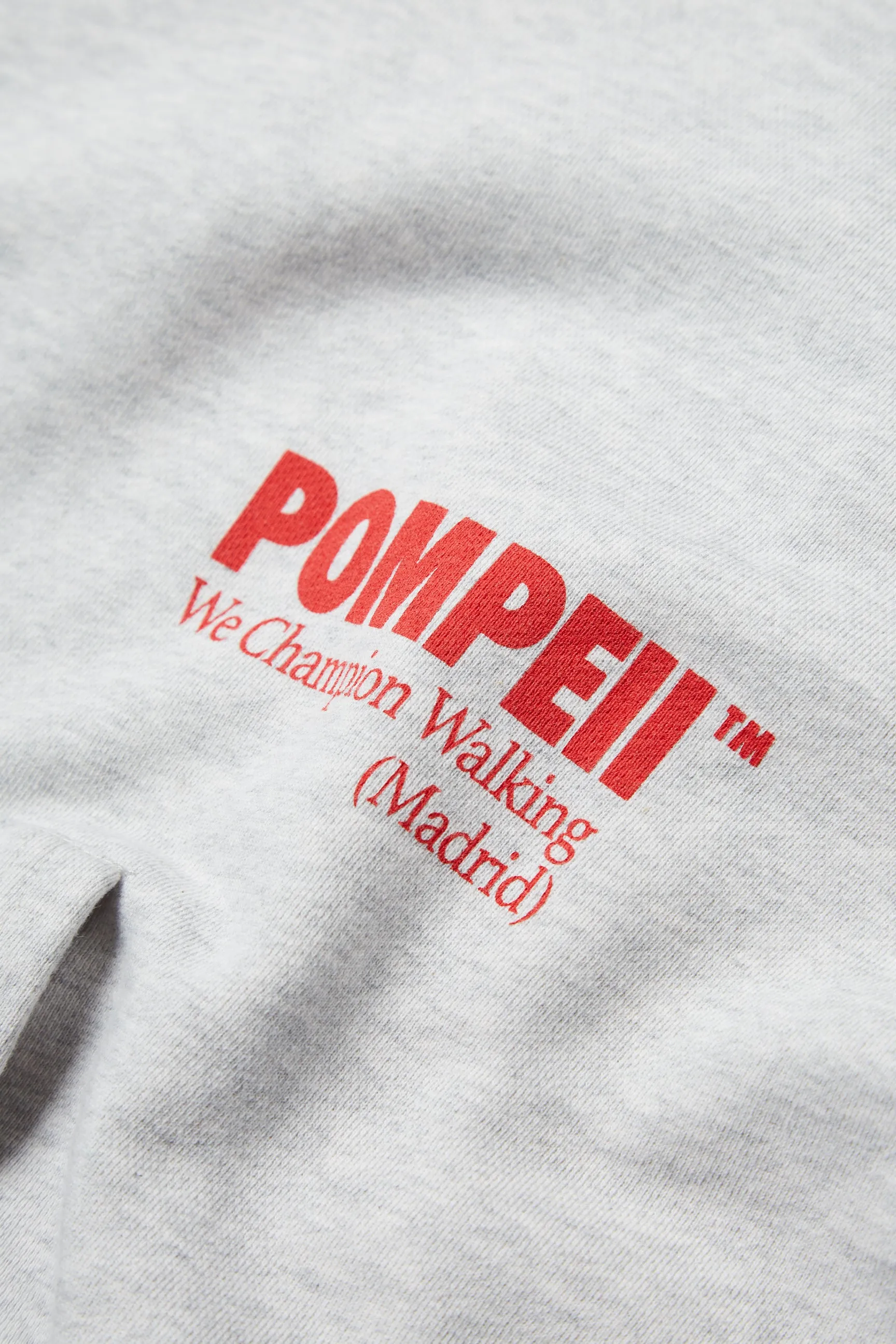POMPEII LIGHT GREY MELLANGE REGULAR HOODIE sold by Pompeii product image thumbnail 2