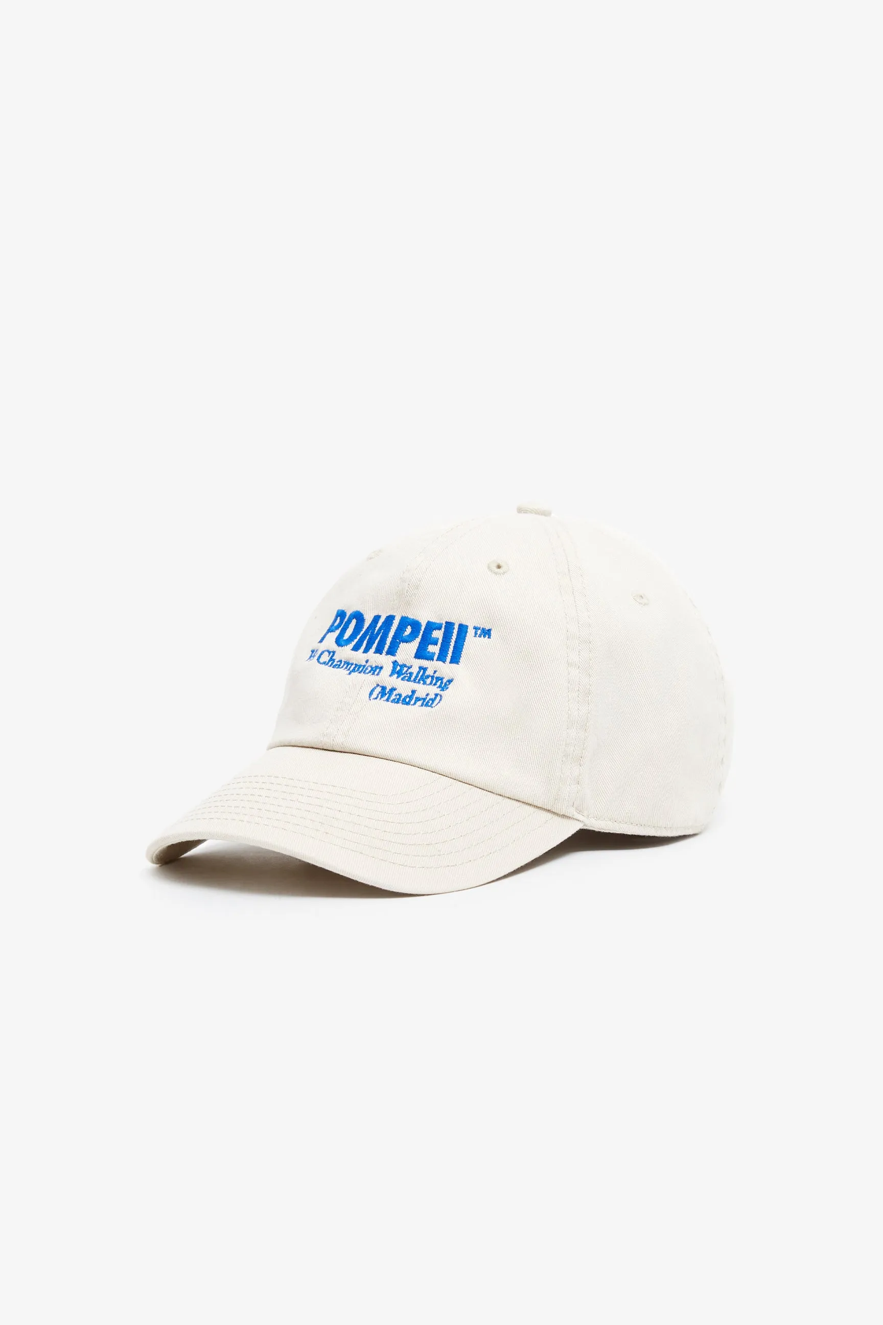 WE CHAMPION WALKING STONE CAP sold by Pompeii product image thumbnail 3