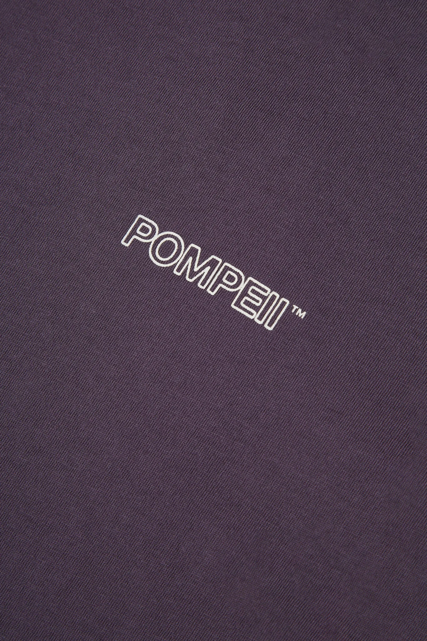 SOULFUL PURSUITS RAISIN TEE sold by Pompeii product image thumbnail 4