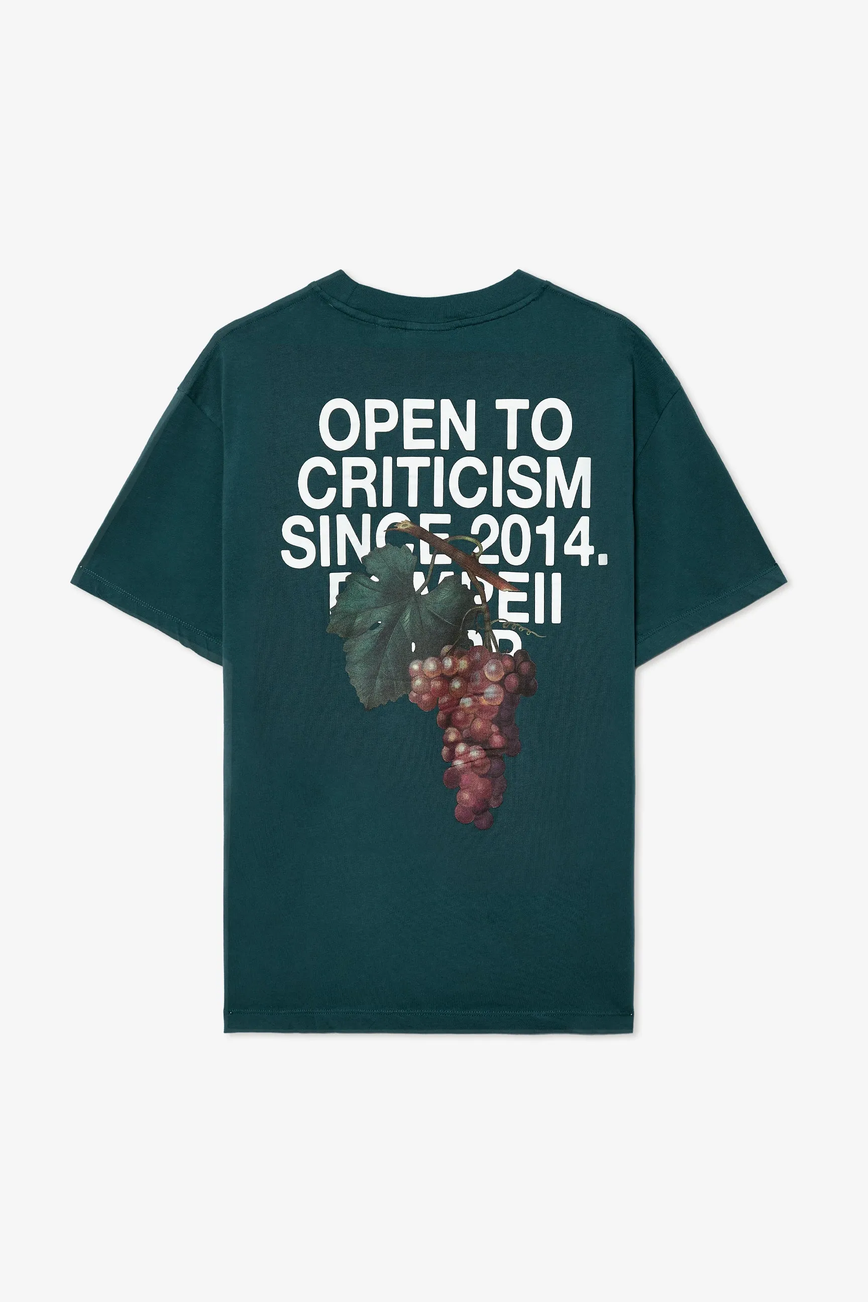 OPEN TO CRITICISM PINE TEE sold by Pompeii