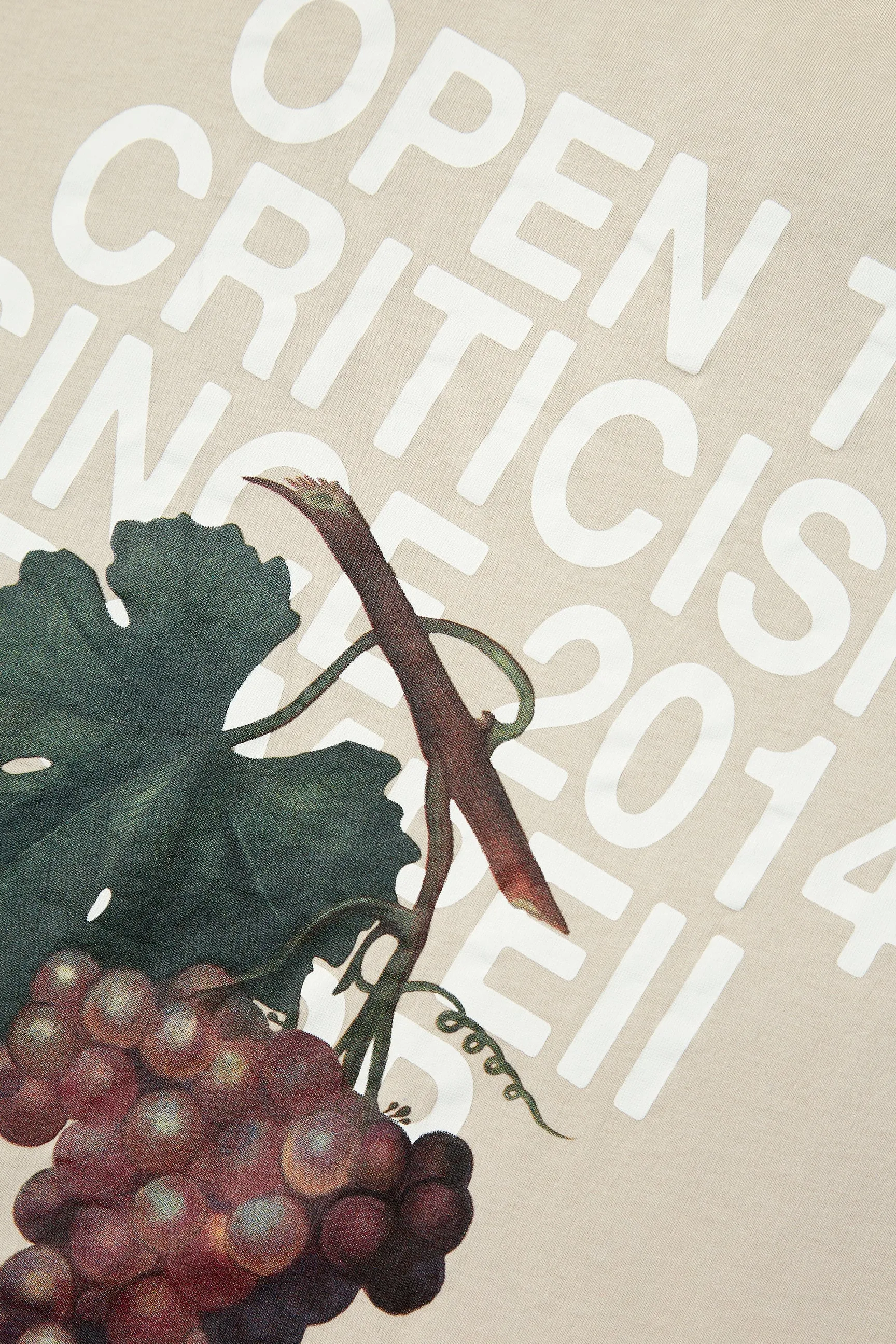 OPEN TO CRITICISM OAT TEE sold by Pompeii product image thumbnail 4