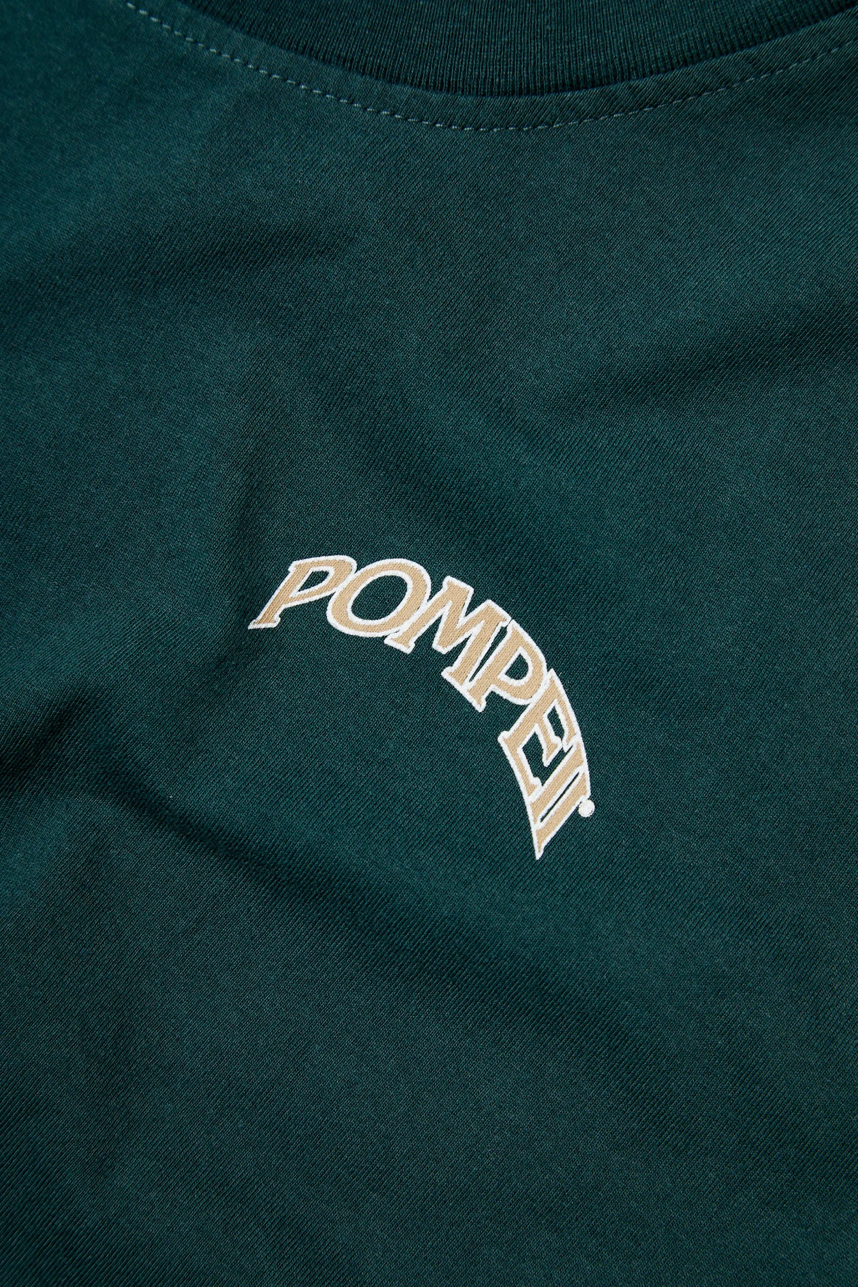 FOUNTAIN PINE REGULAR GRAPHIC TEE sold by Pompeii product image thumbnail 4