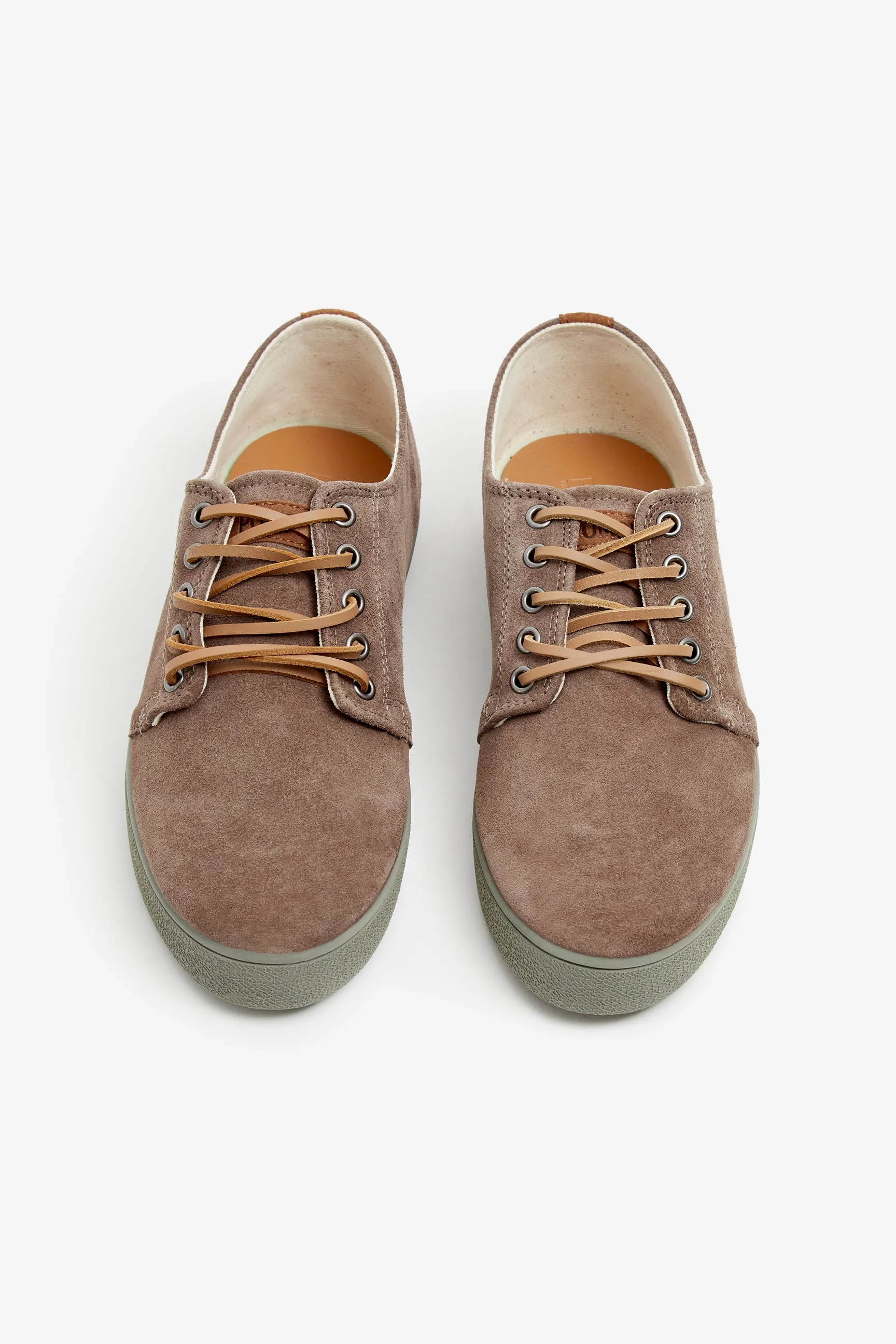 HIGBY SUEDE SAPHARI ALOE sold by Pompeii product image thumbnail 2