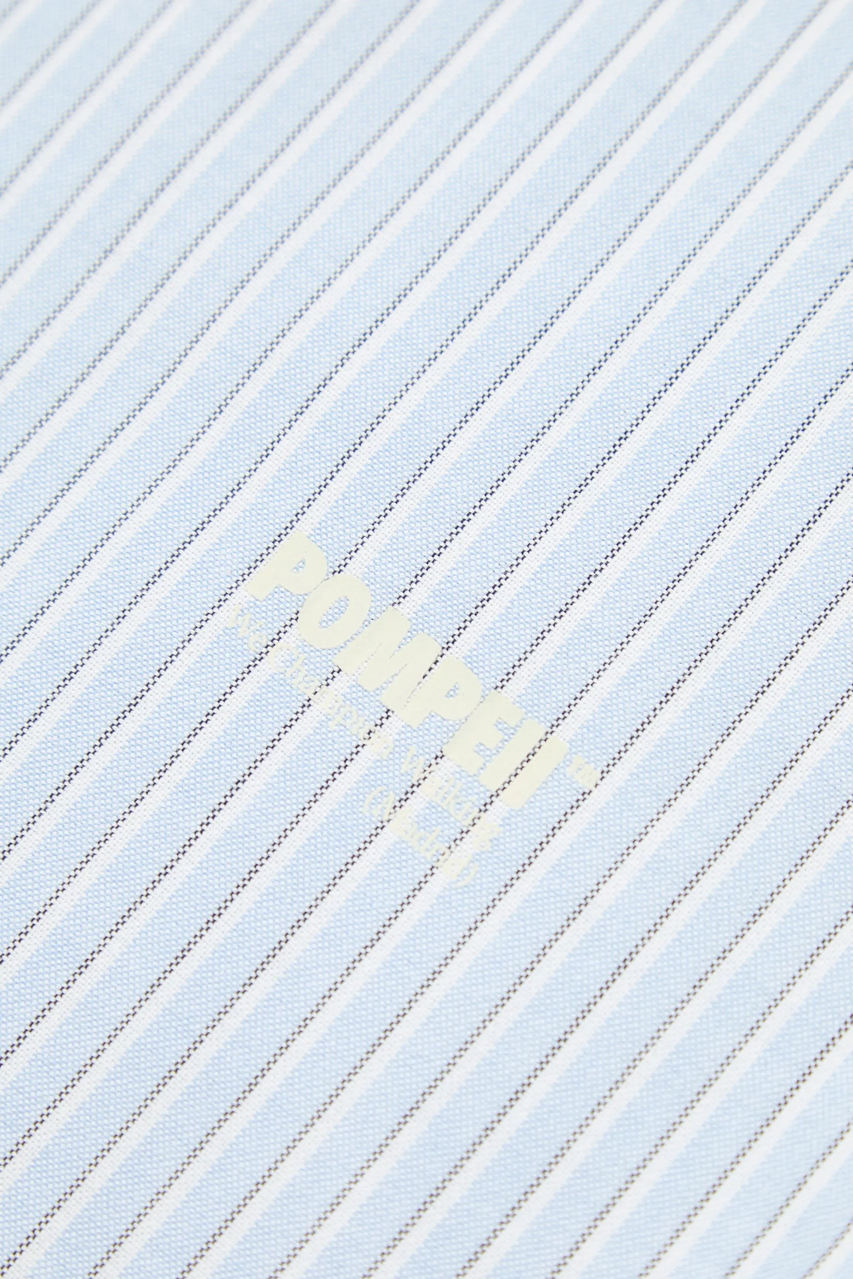POMPEII STRIPE OXFORD SHIRT sold by Pompeii product image thumbnail 4