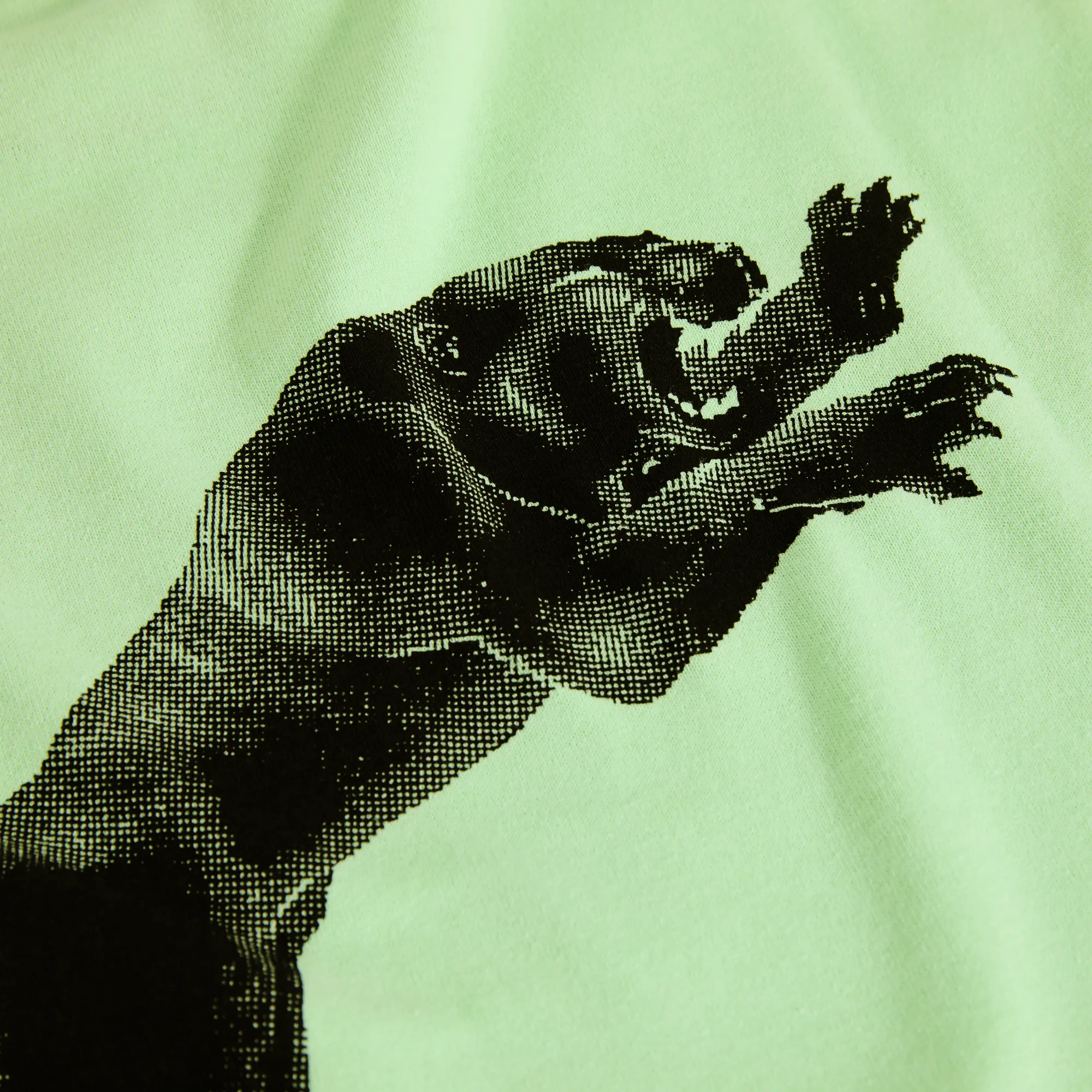 Tee | Tape and Panther - Mint Green sold by Polar Skate product image thumbnail 4