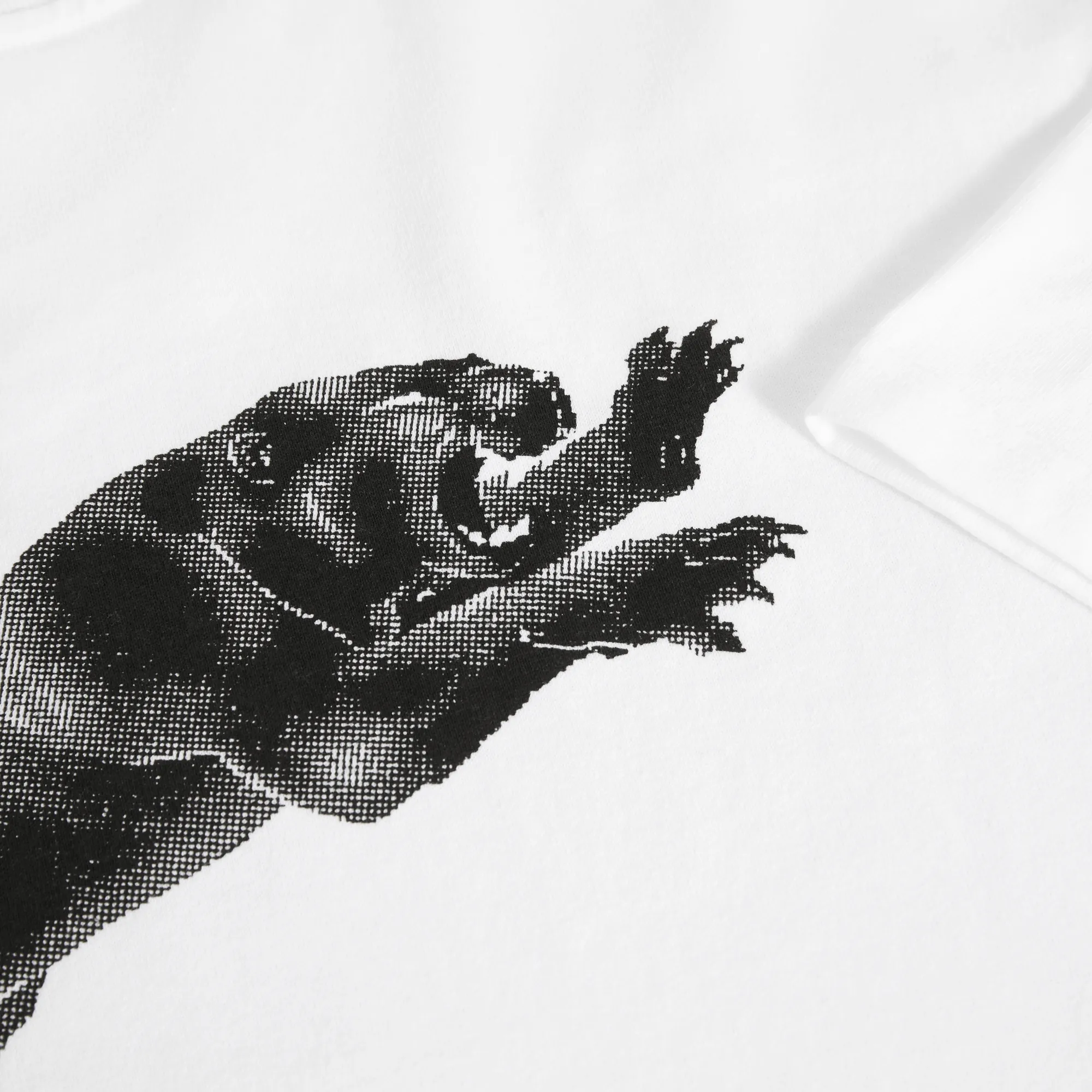 Tee | Tape and Panther - White sold by Polar Skate product image thumbnail 4